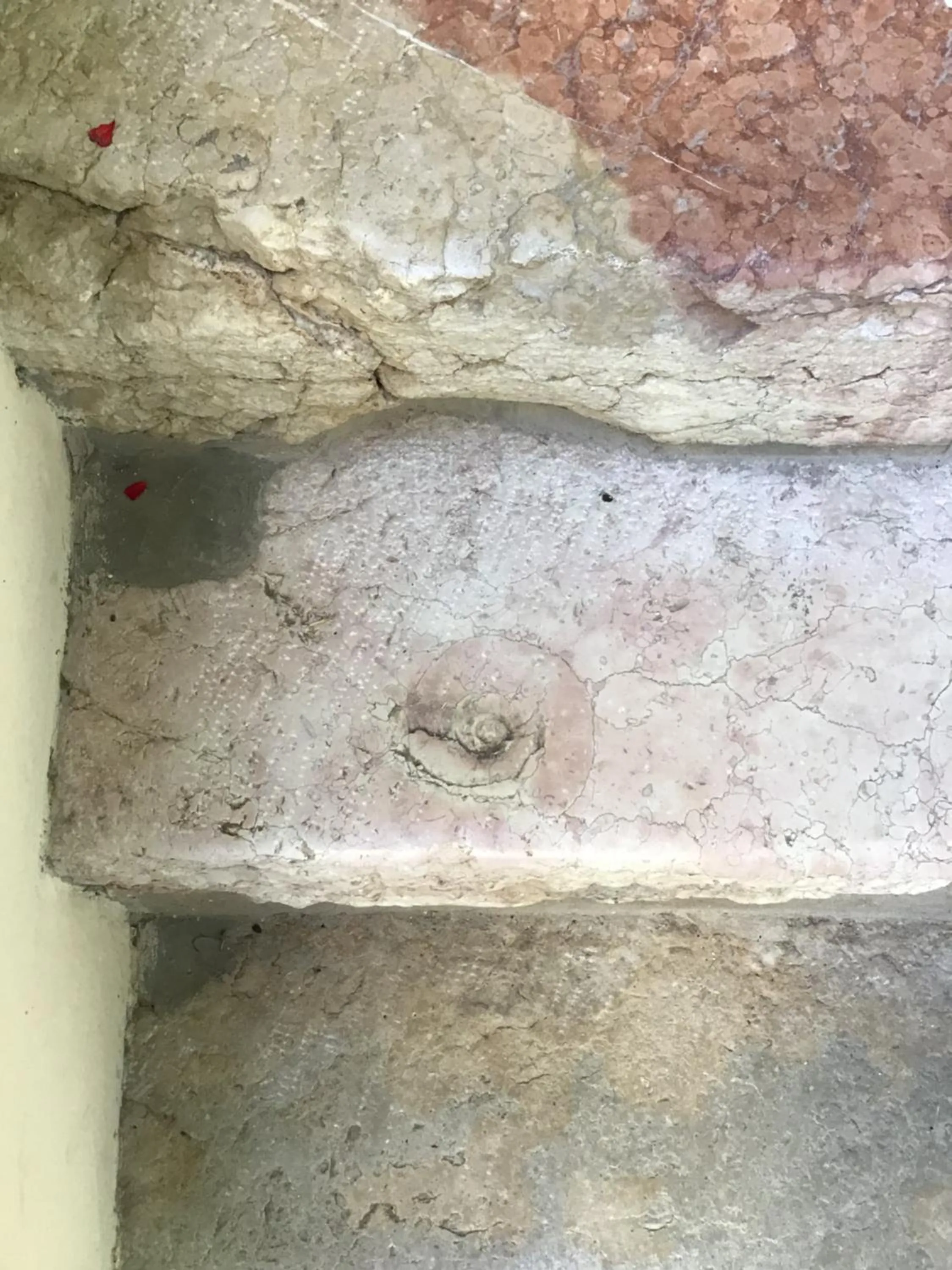 Decorative detail in Villa Monica