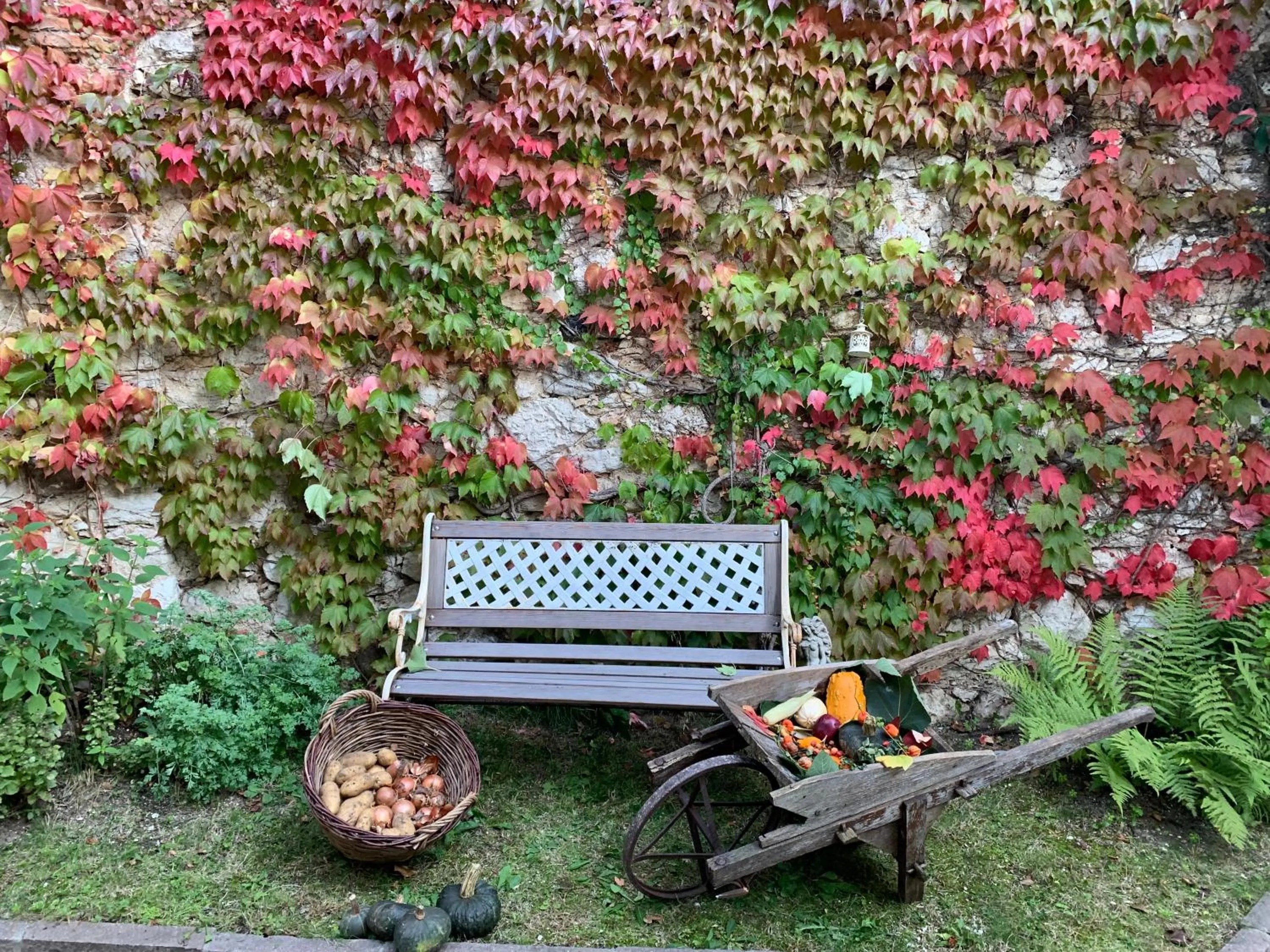 Autumn in Villa Monica