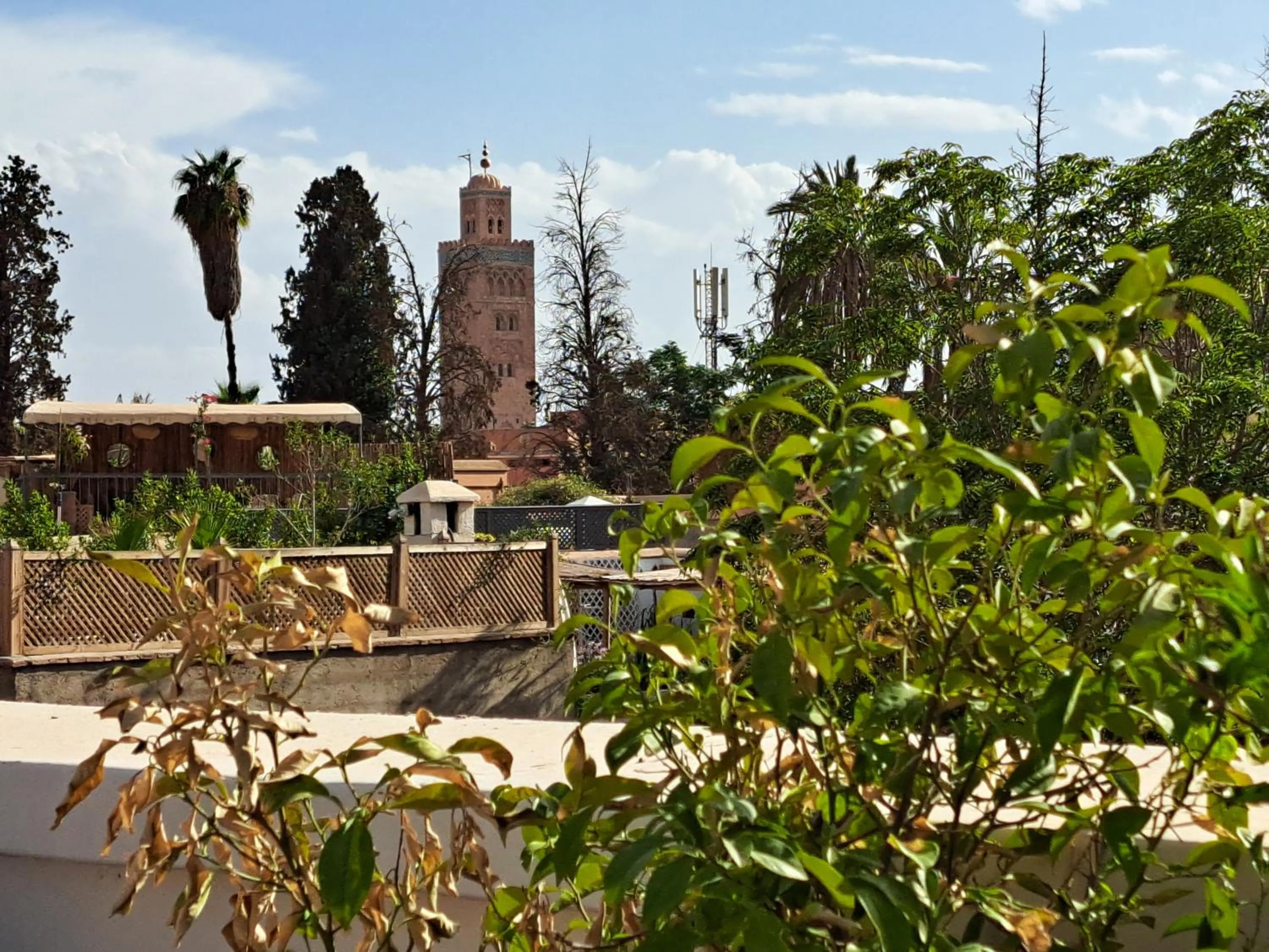 Day in Dar Al Kounouz