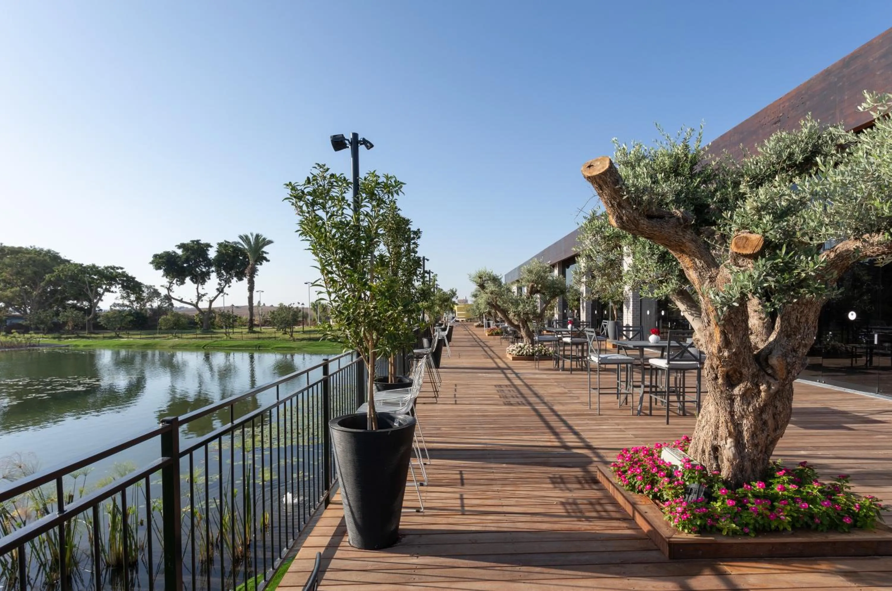 Natural landscape in Dream Island Spa & Health Resort