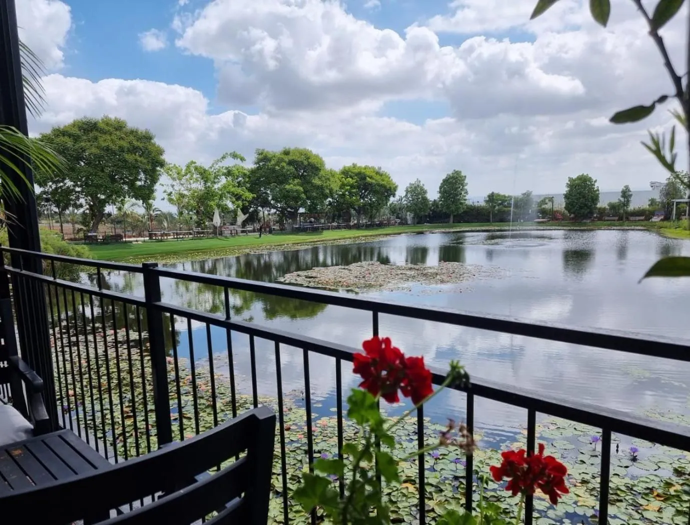 Natural landscape in Dream Island Spa & Health Resort