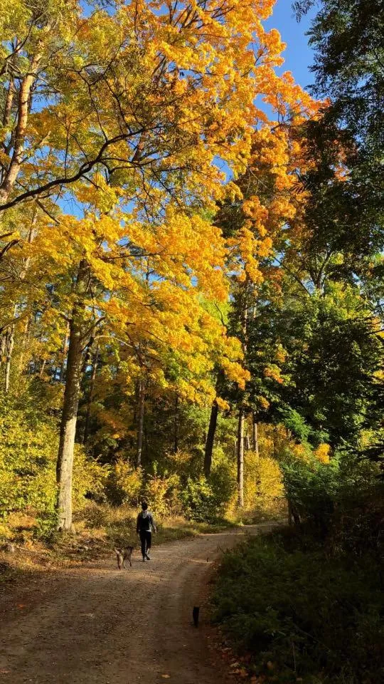 Pokoje Cztery Pory Roku