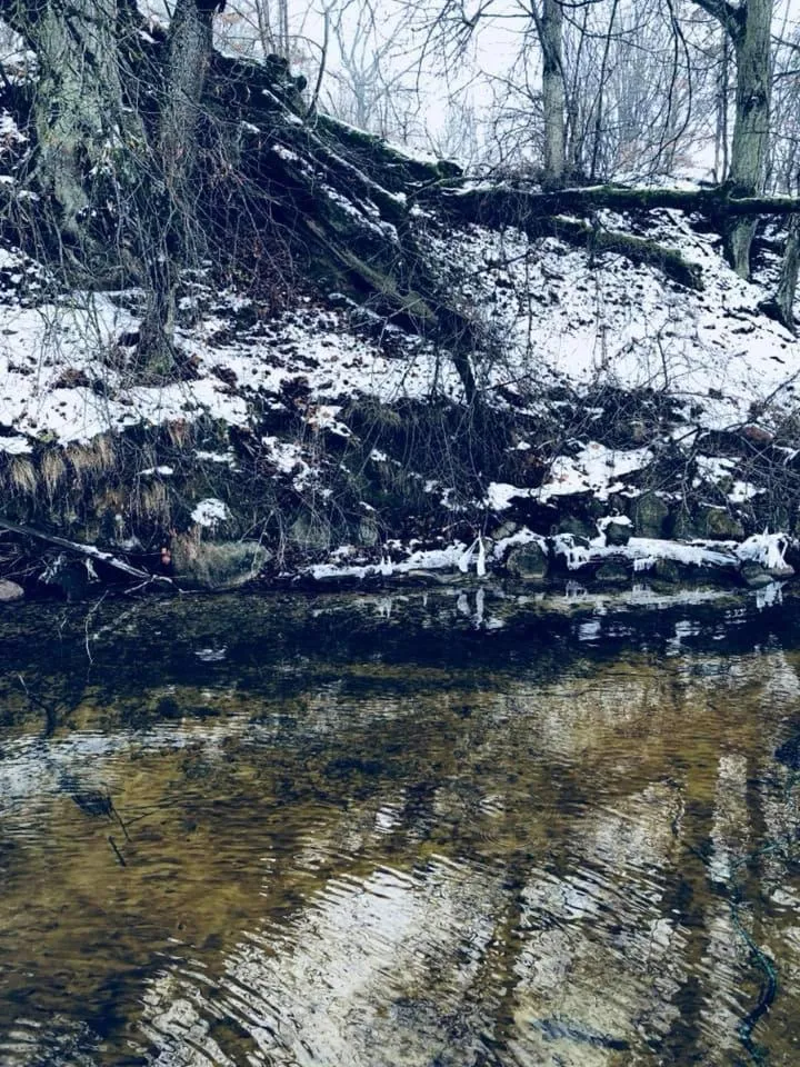 Pokoje Cztery Pory Roku