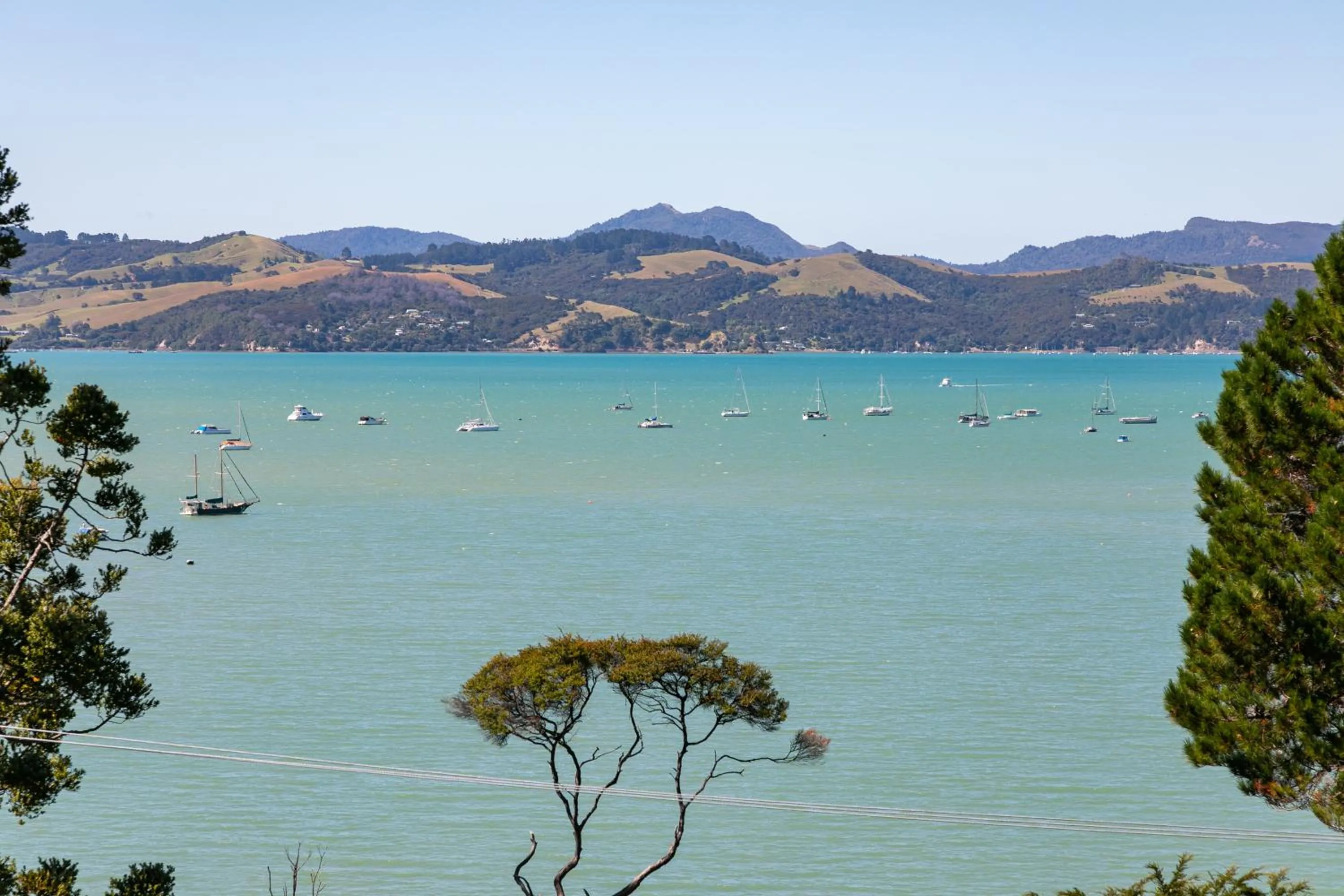 Sea view in Coromandel Apartments