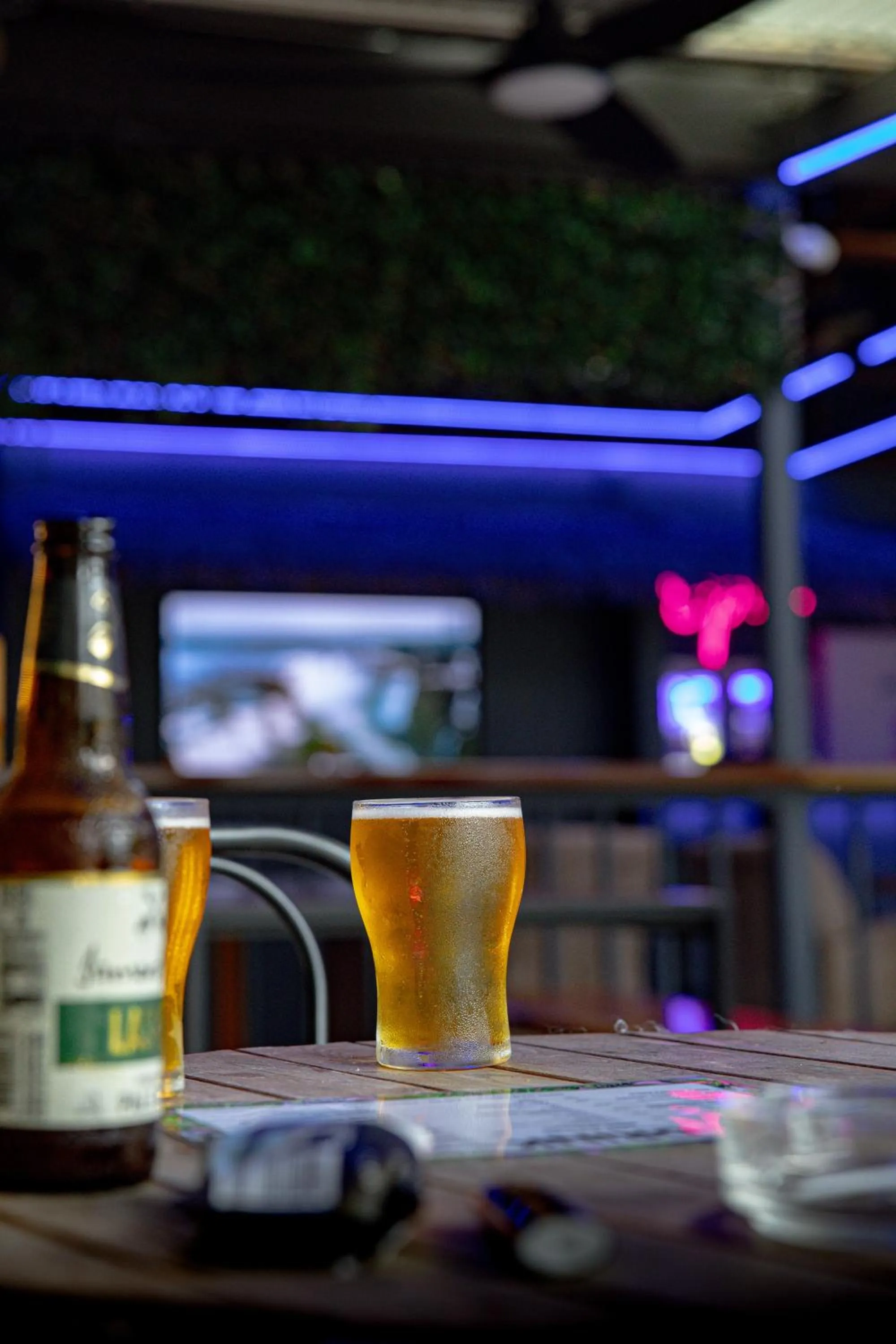 Lounge or bar in Coral Beach Lodge