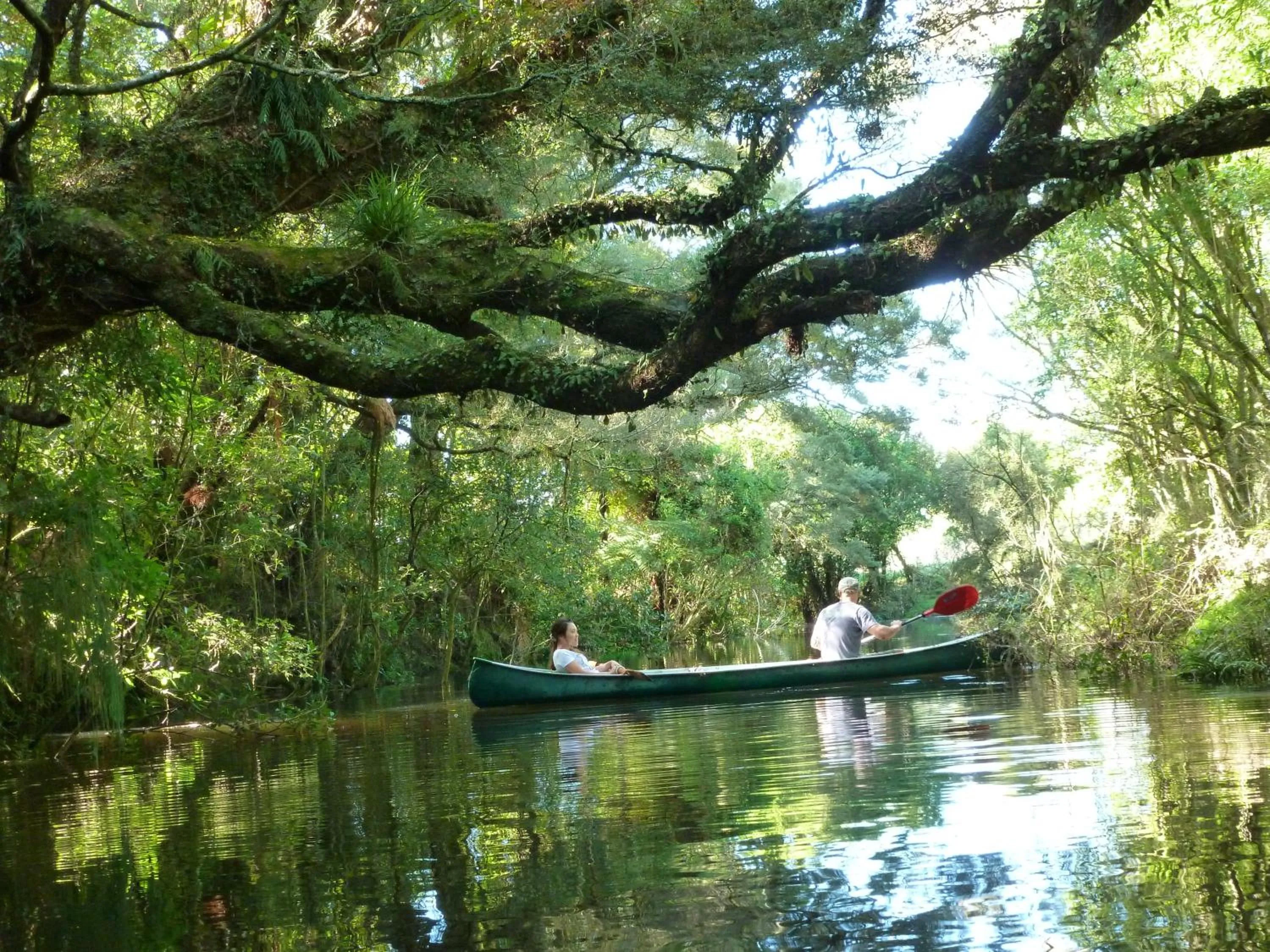 Aqua park in Bazil's Backpackers BBH Hostel & Surf School