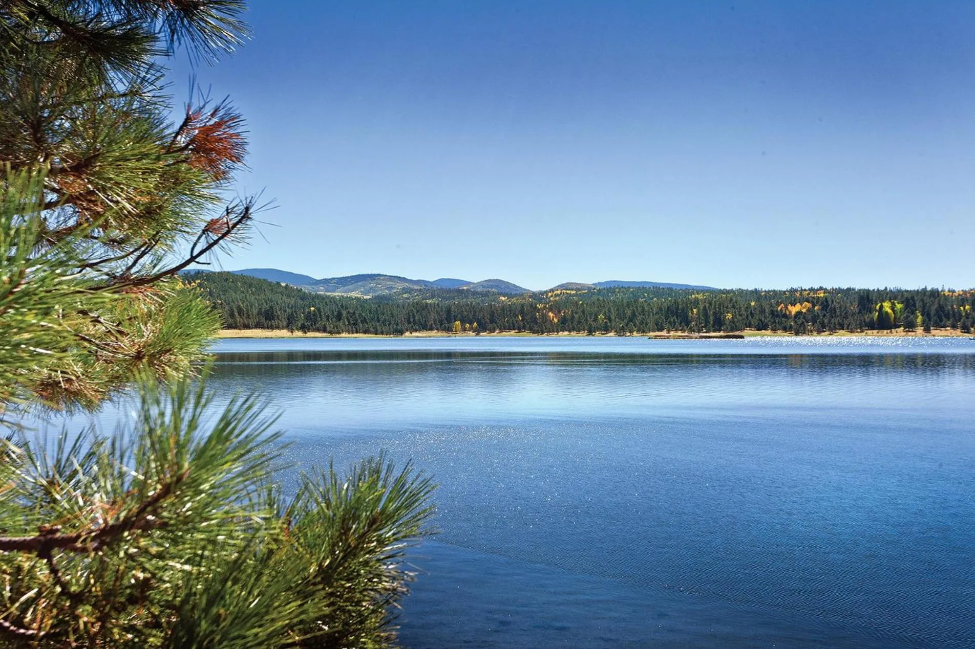 Area and facilities in WorldMark Pinetop