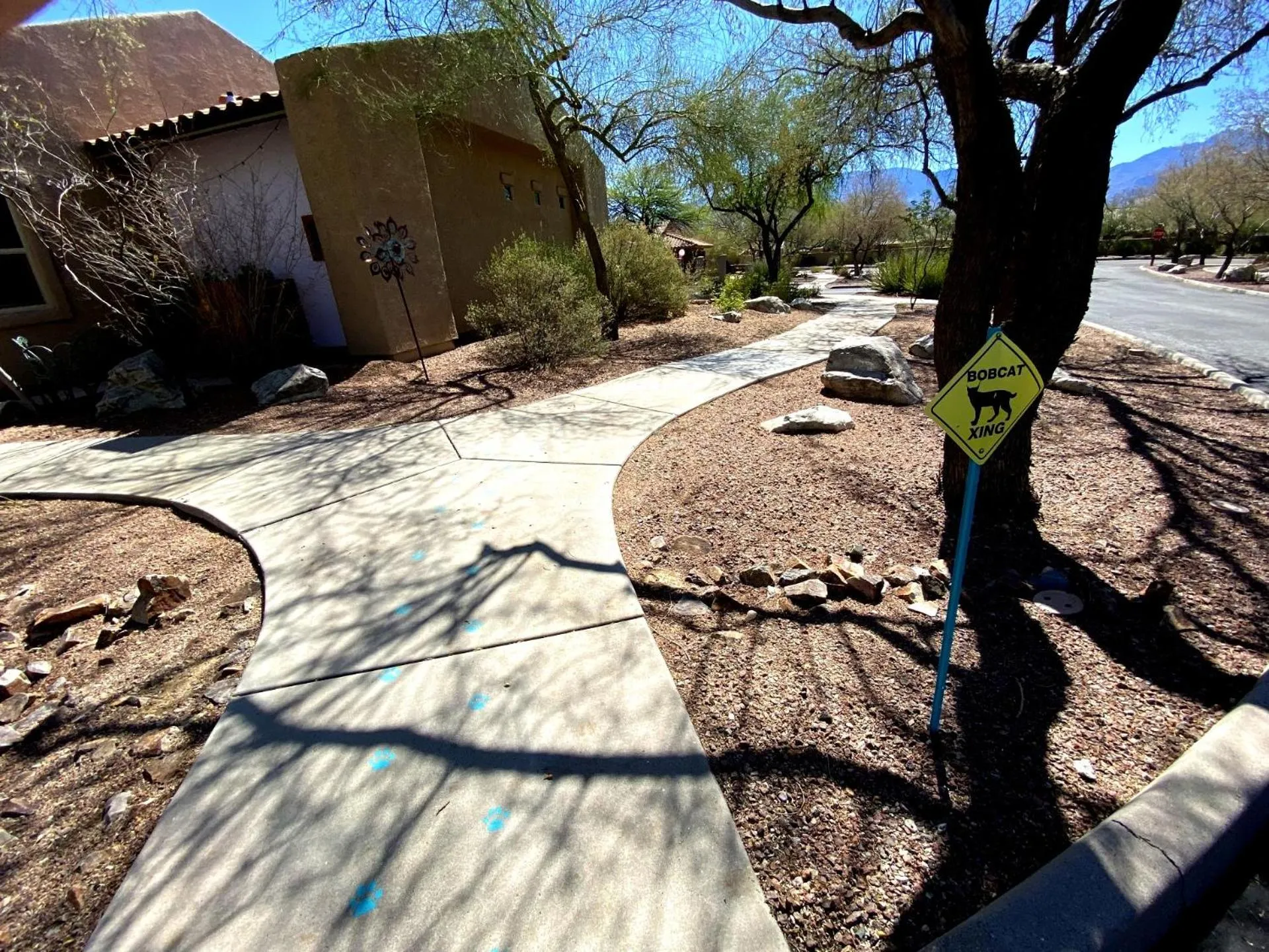 Street view in WorldMark Rancho Vistoso
