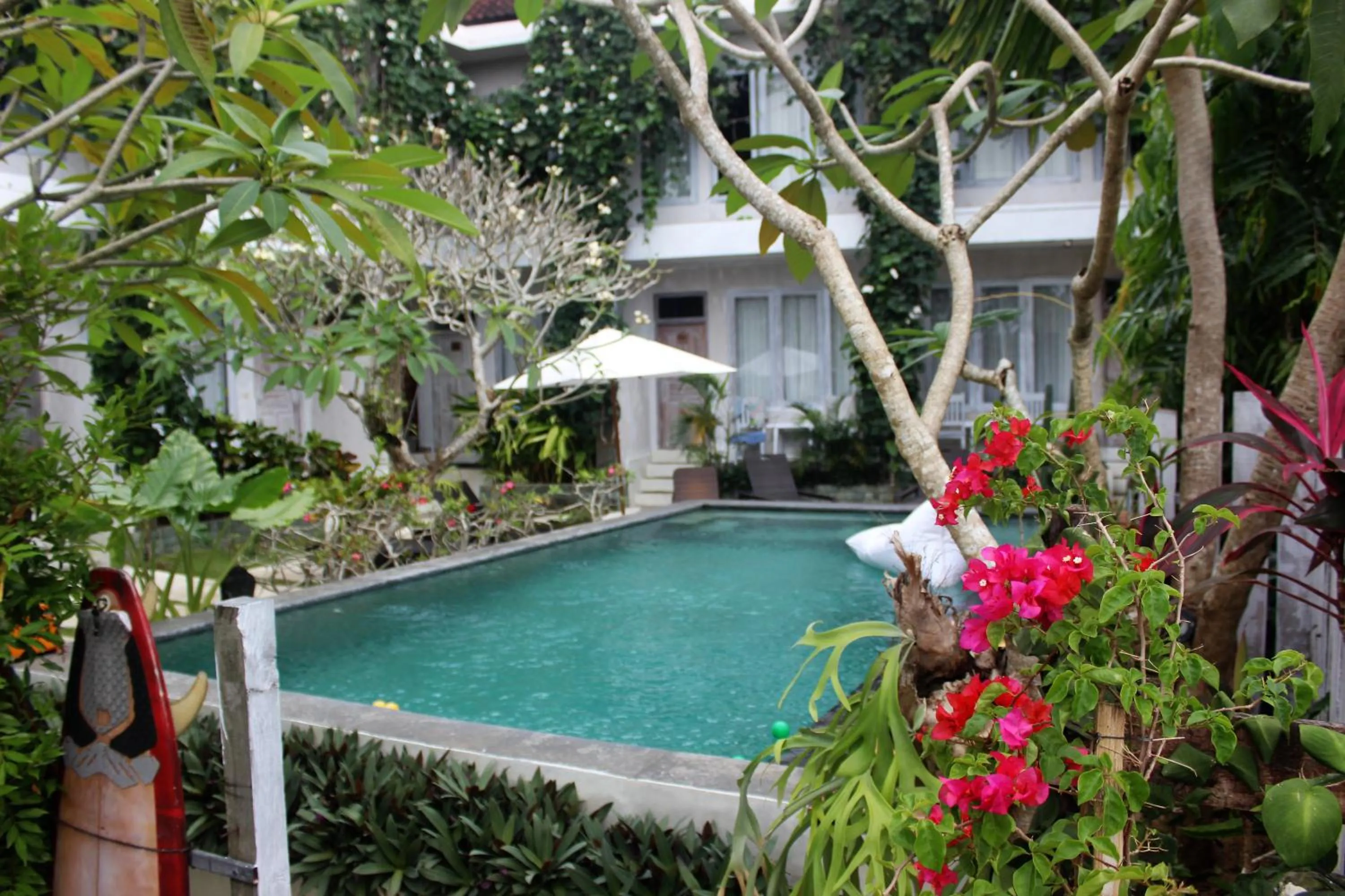 Pool view in Bingin Inn