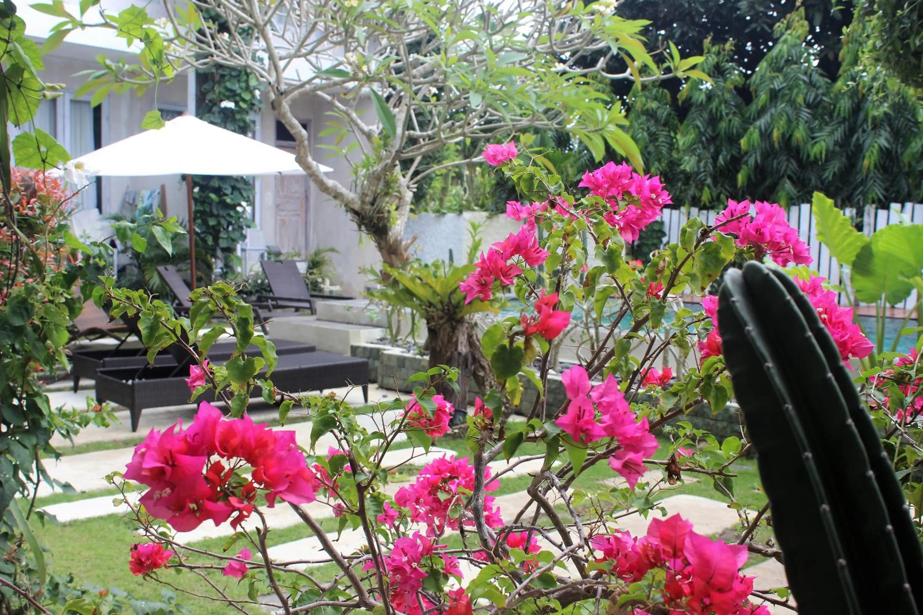 Garden in Bingin Inn