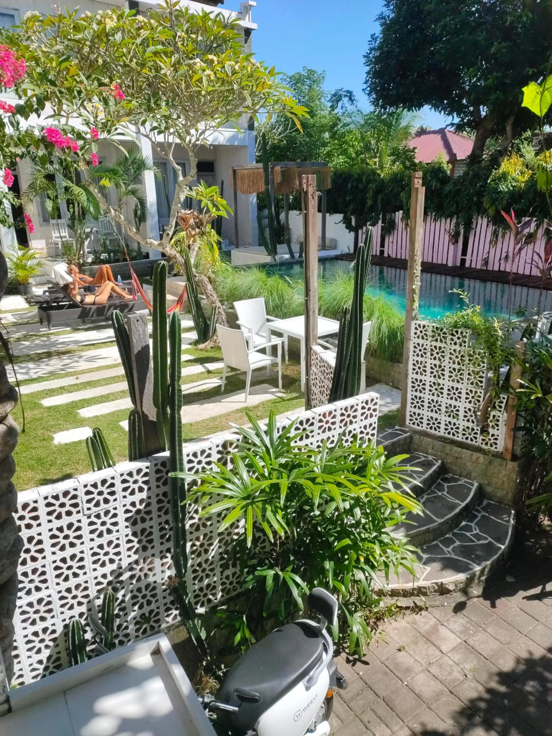 Swimming pool in Bingin Inn