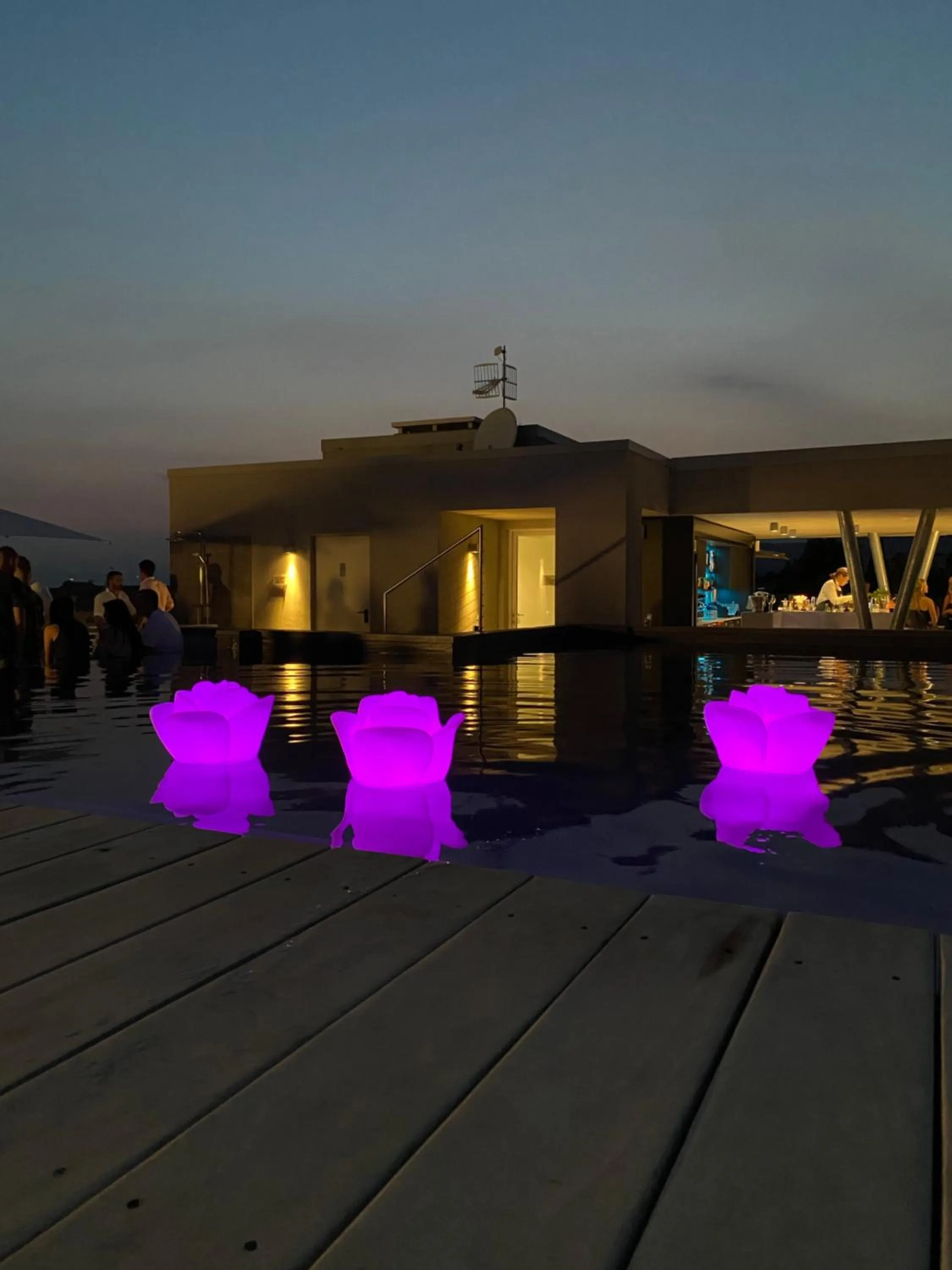 Swimming pool in Solho Hotel