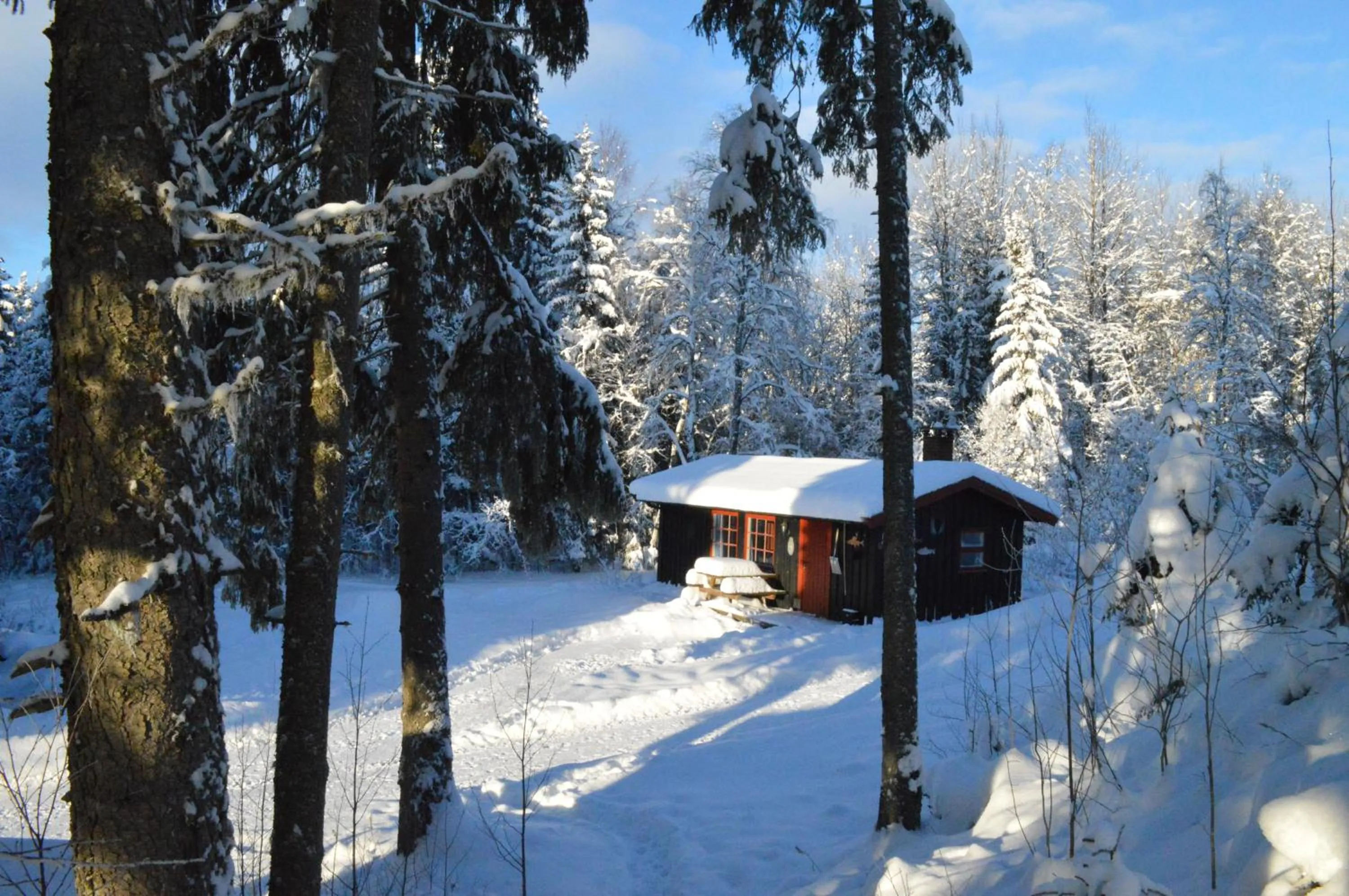 Winter in Trysil Hyttegrend