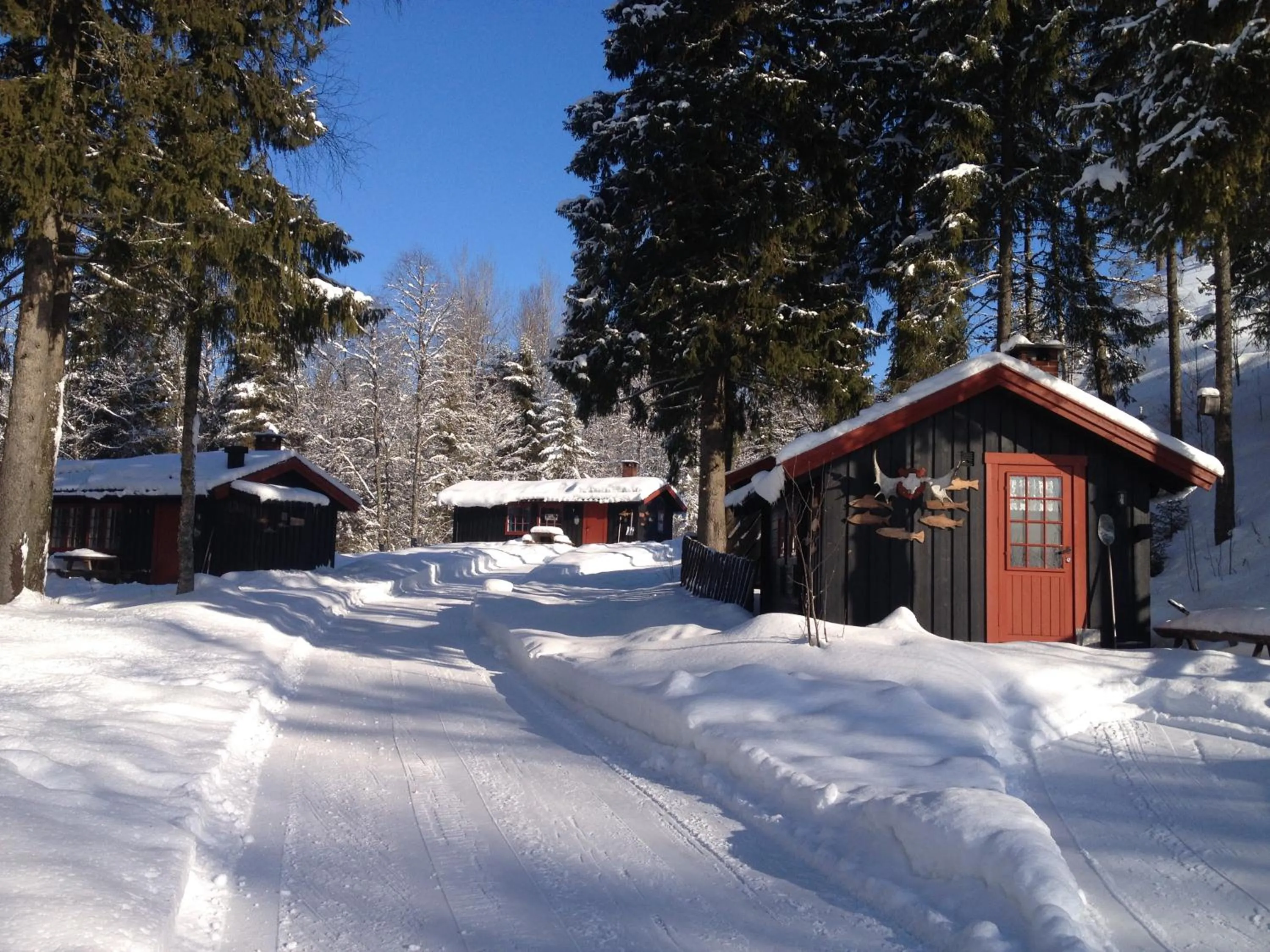 Winter in Trysil Hyttegrend