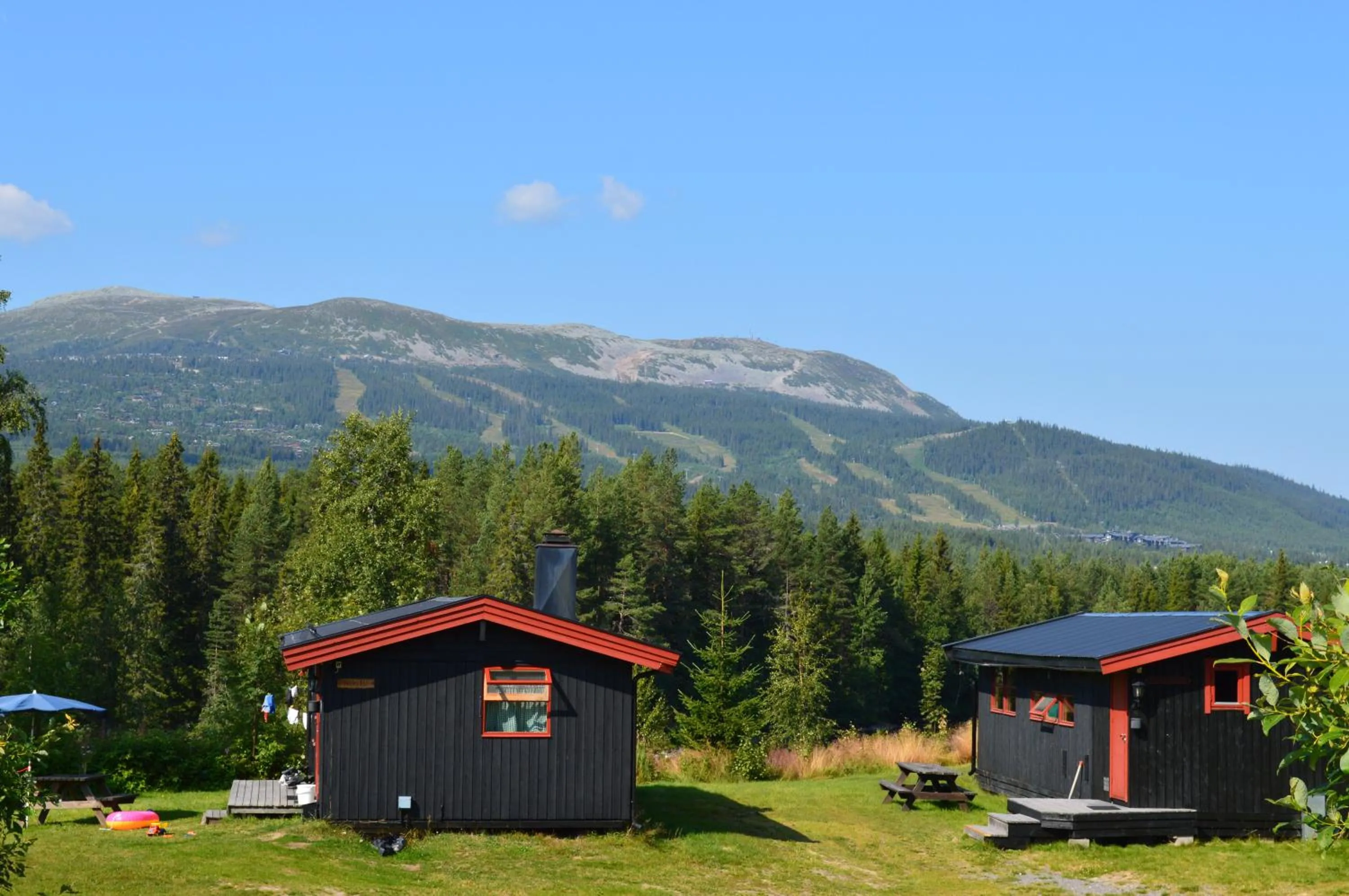 Summer in Trysil Hyttegrend