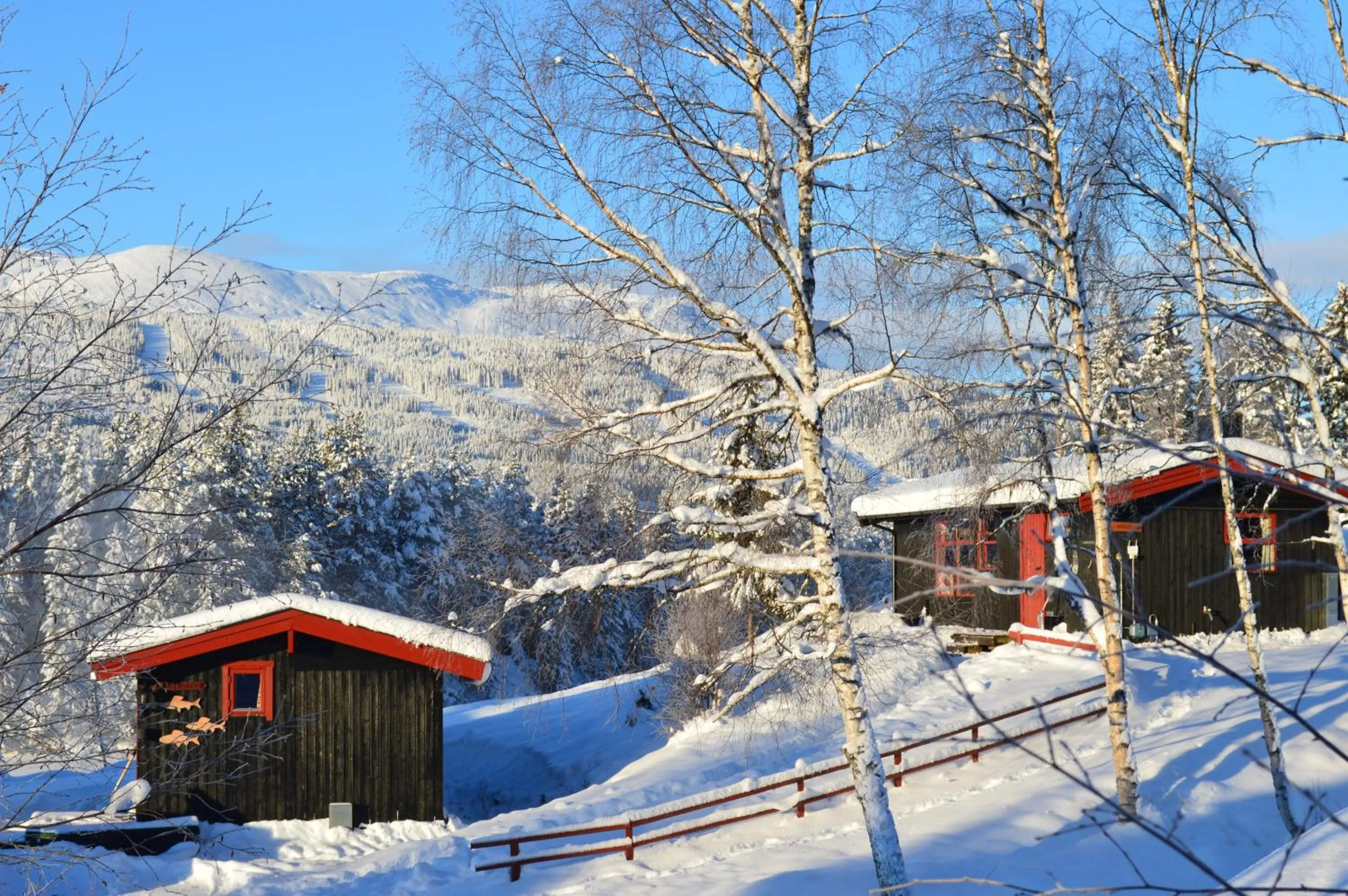 Winter in Trysil Hyttegrend