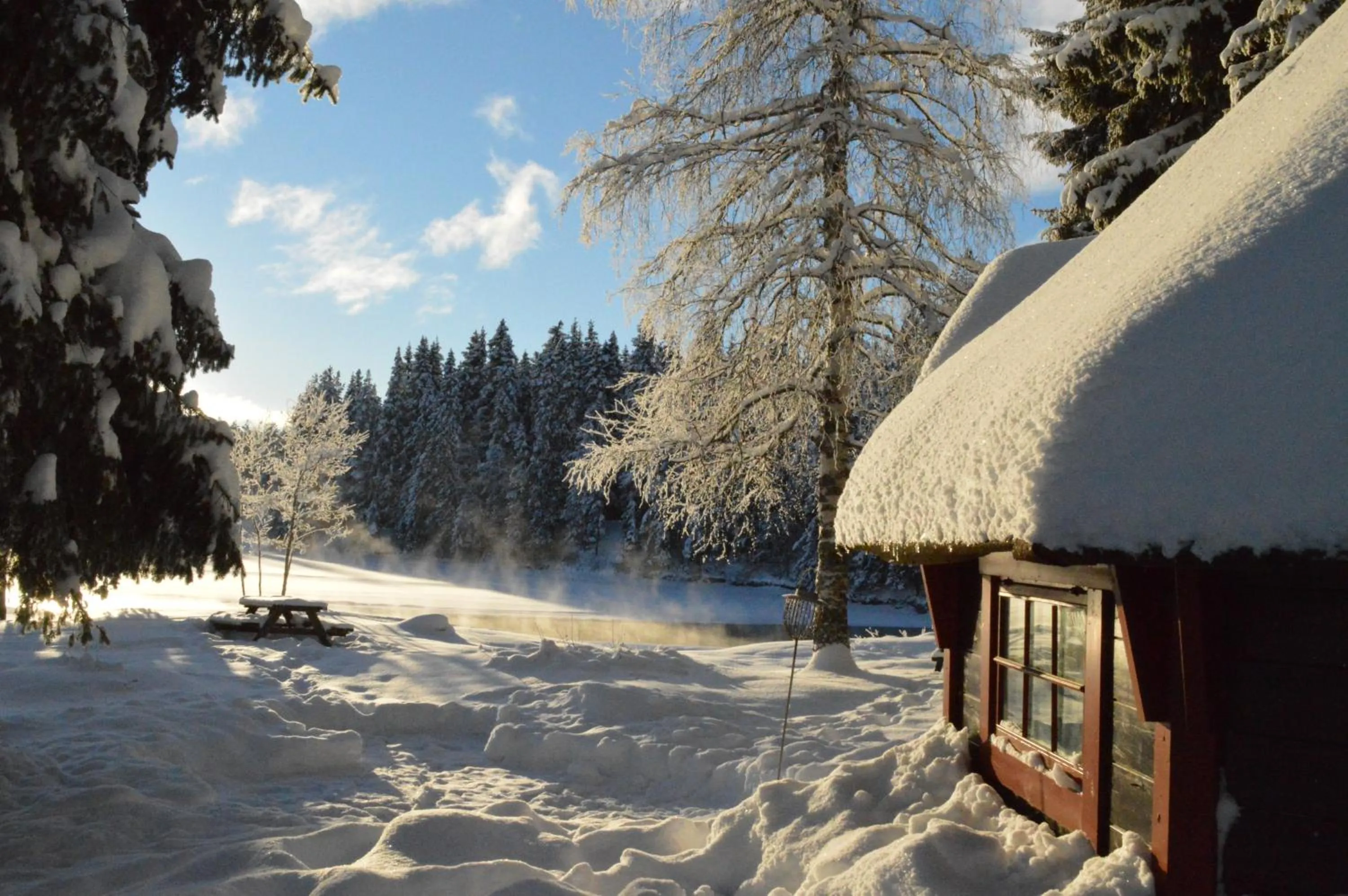 Winter in Trysil Hyttegrend