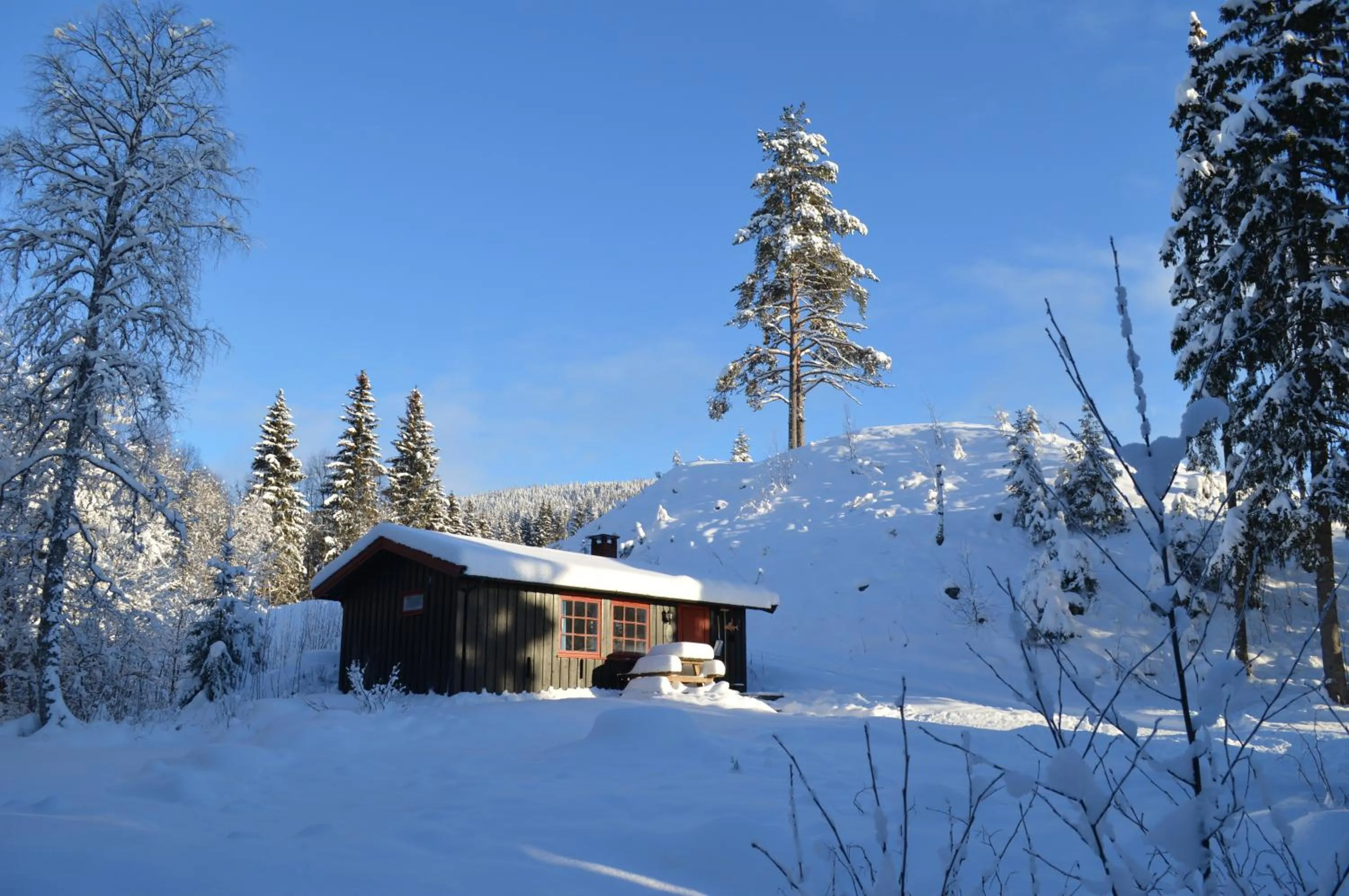 Winter in Trysil Hyttegrend