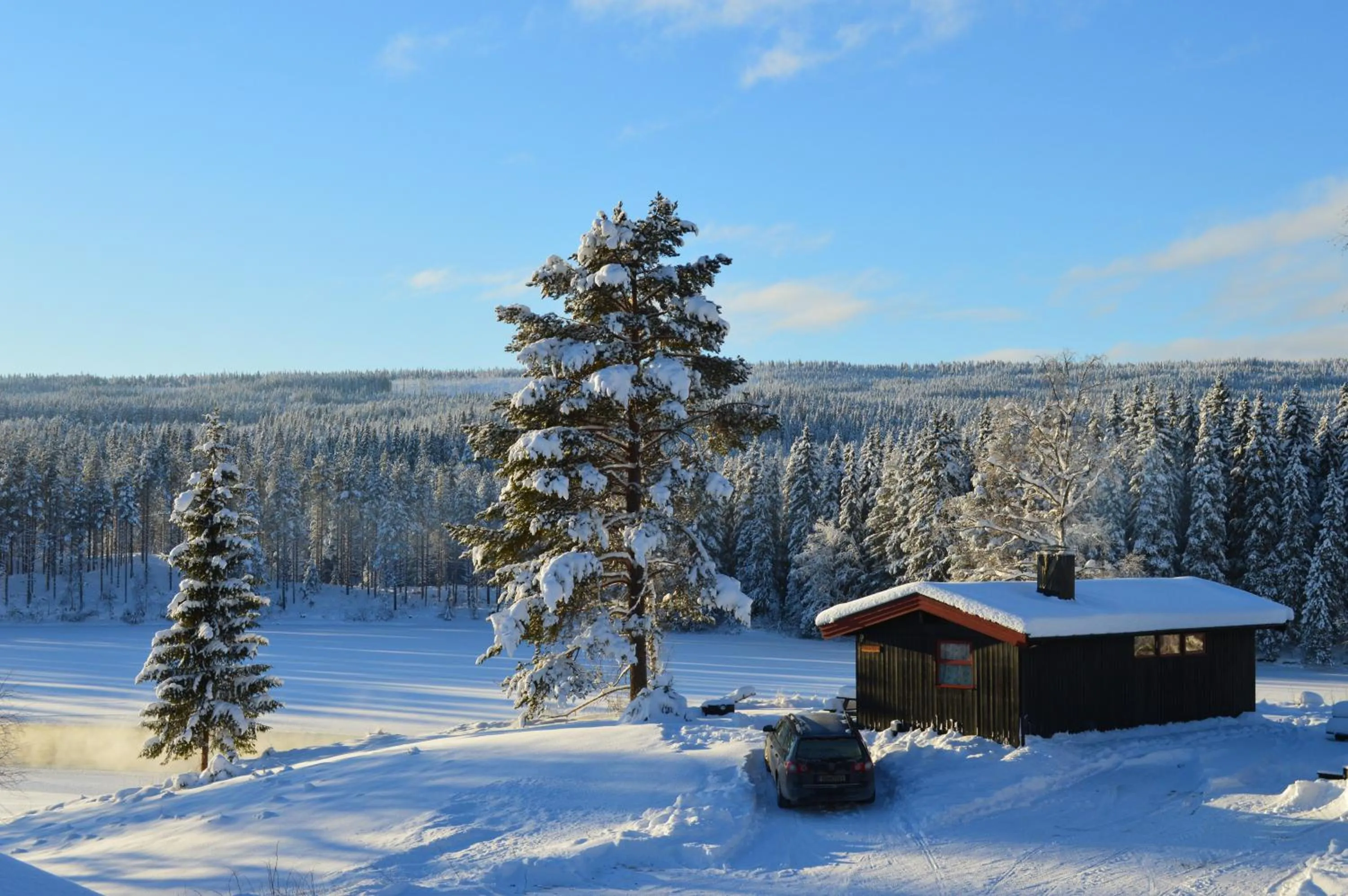 Winter in Trysil Hyttegrend