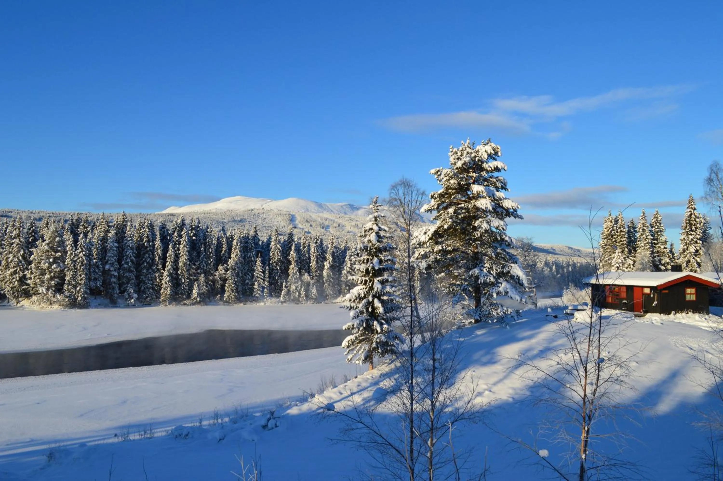 Winter in Trysil Hyttegrend