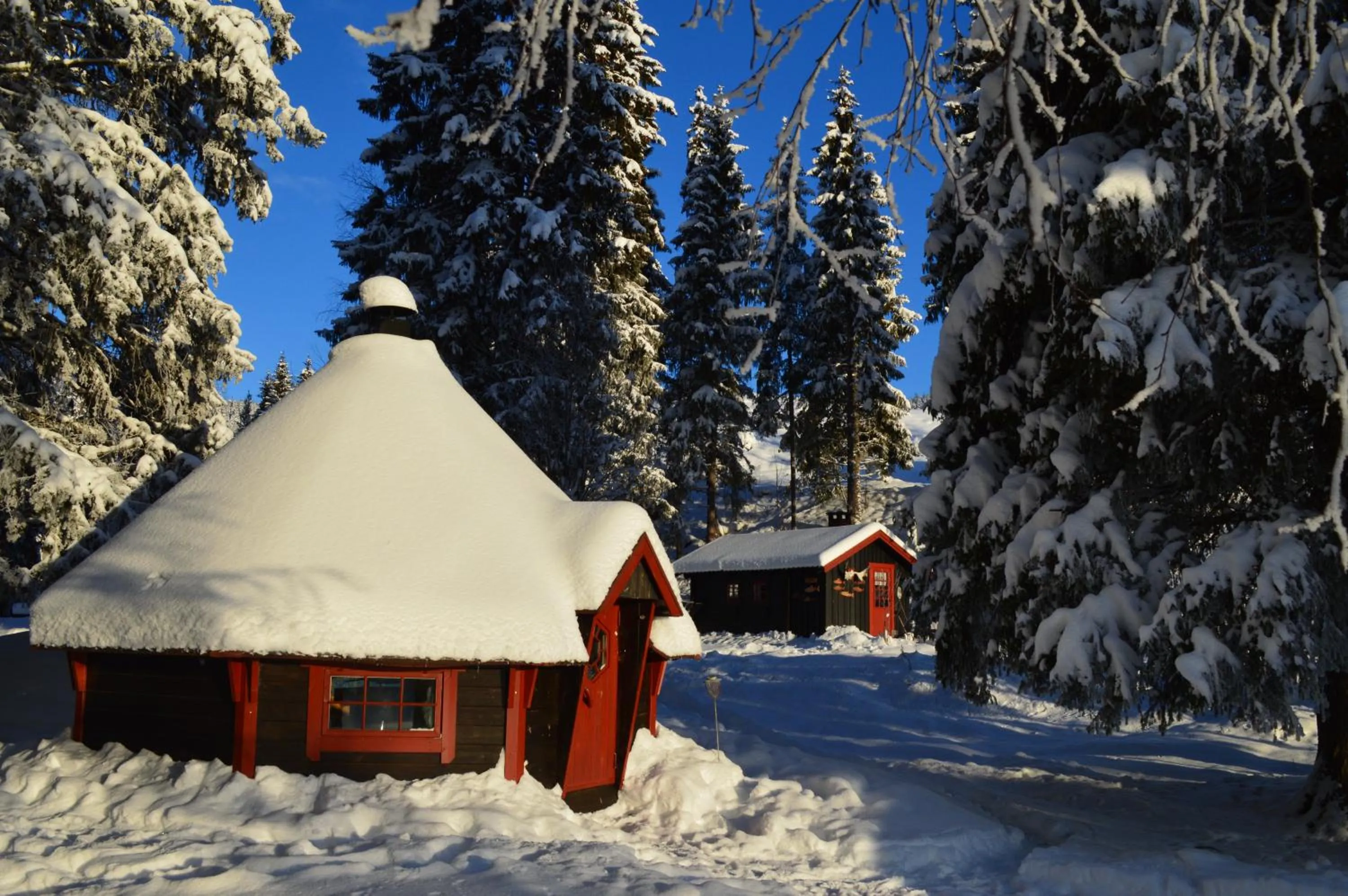 Winter in Trysil Hyttegrend