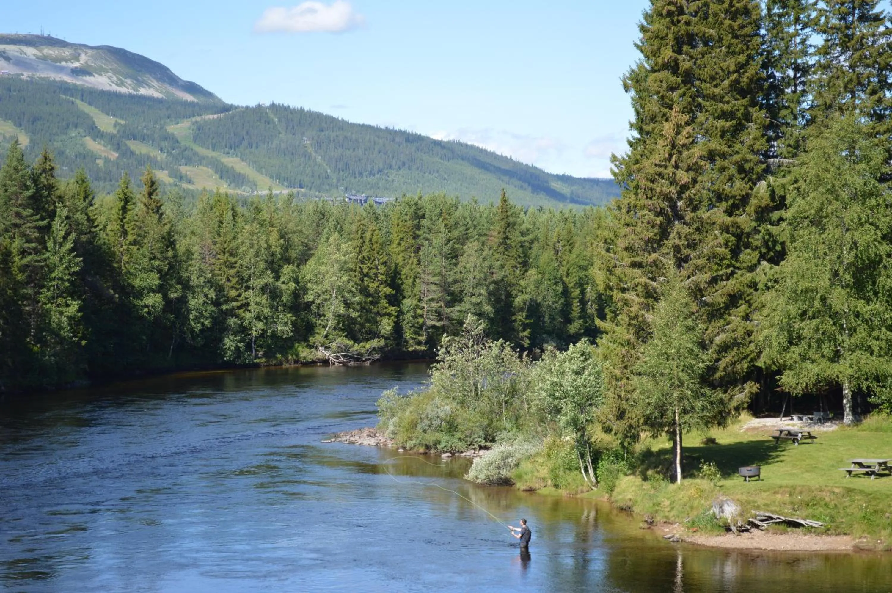 Summer in Trysil Hyttegrend