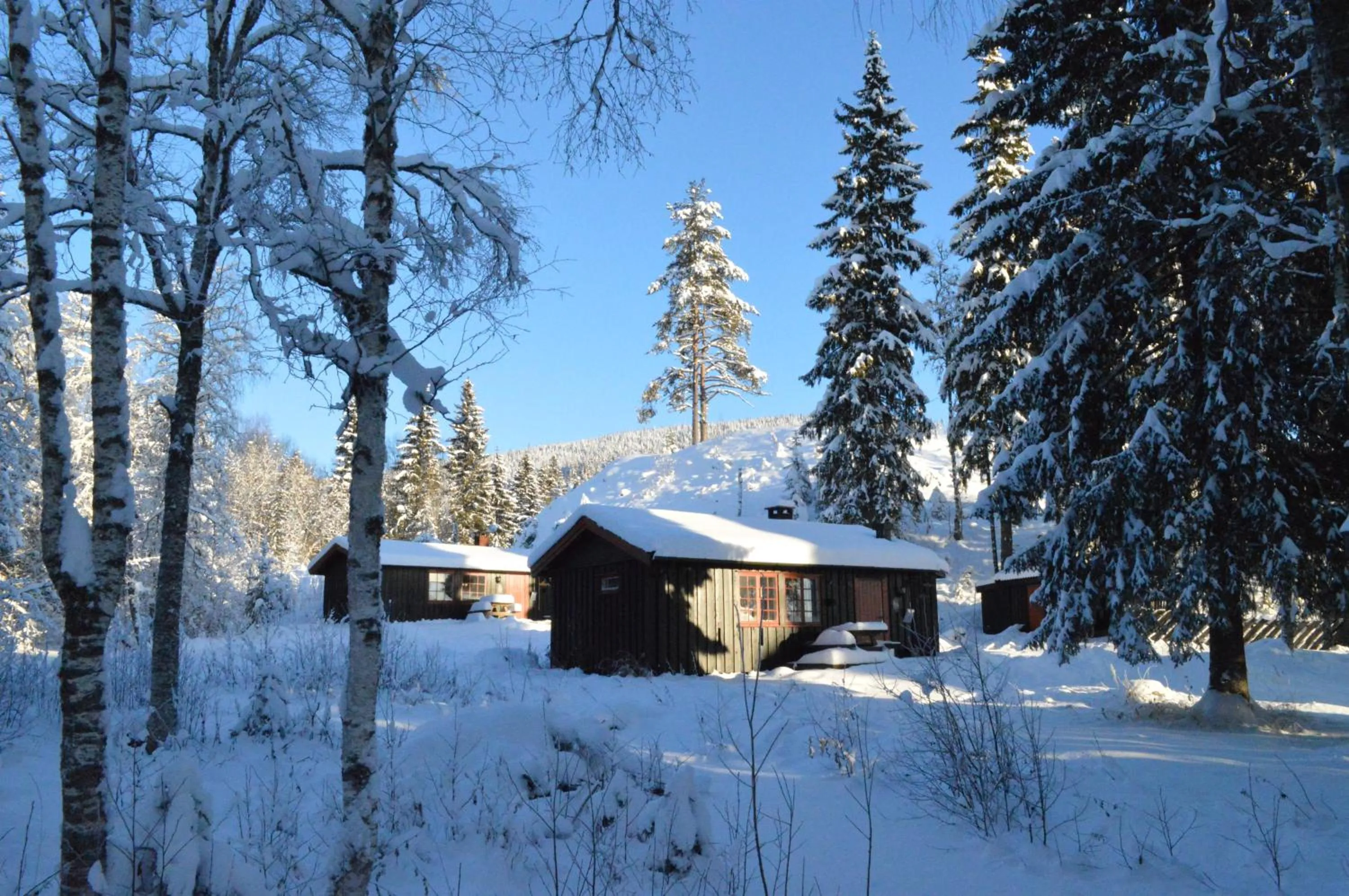 Winter in Trysil Hyttegrend