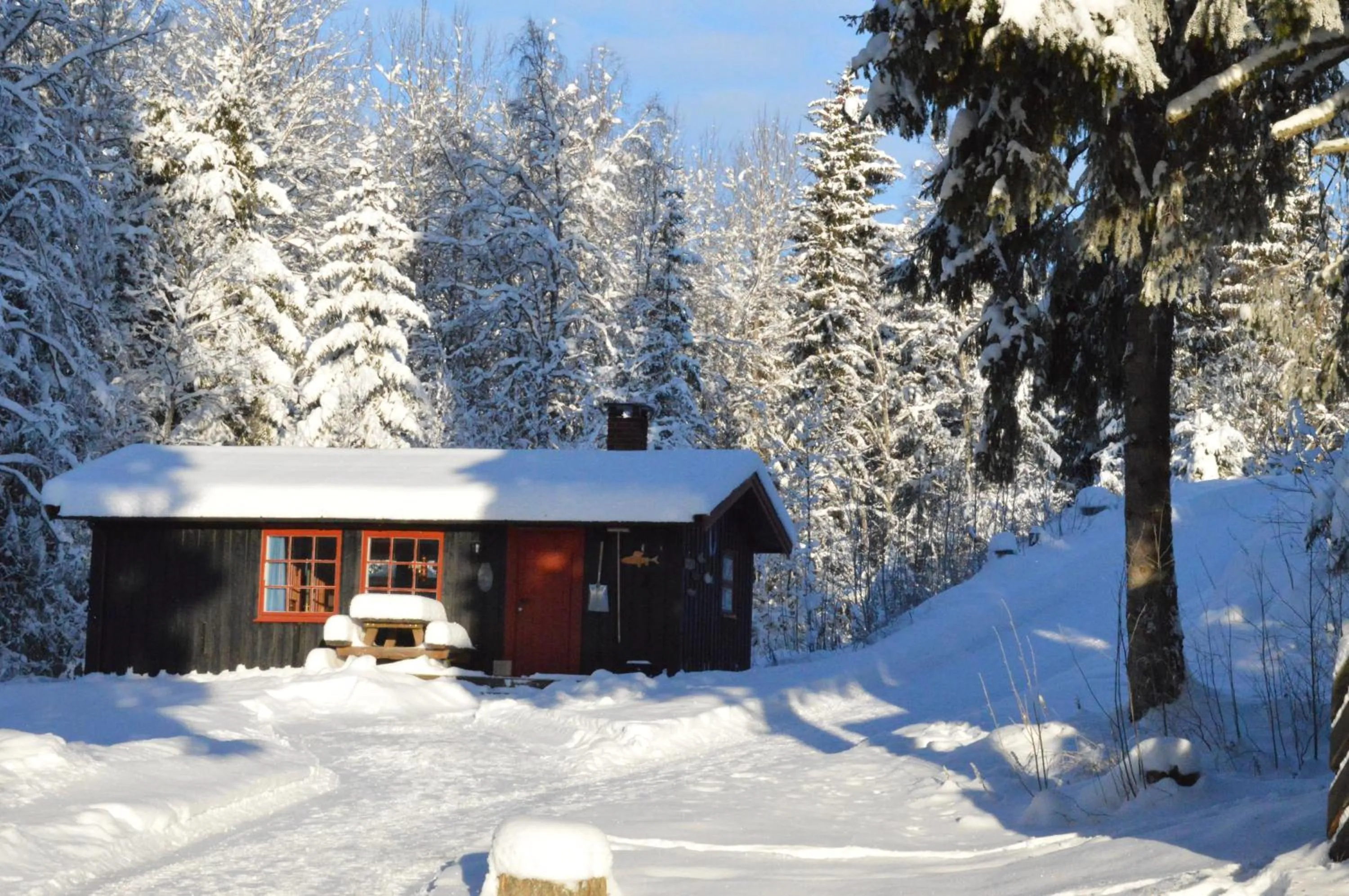 Winter in Trysil Hyttegrend