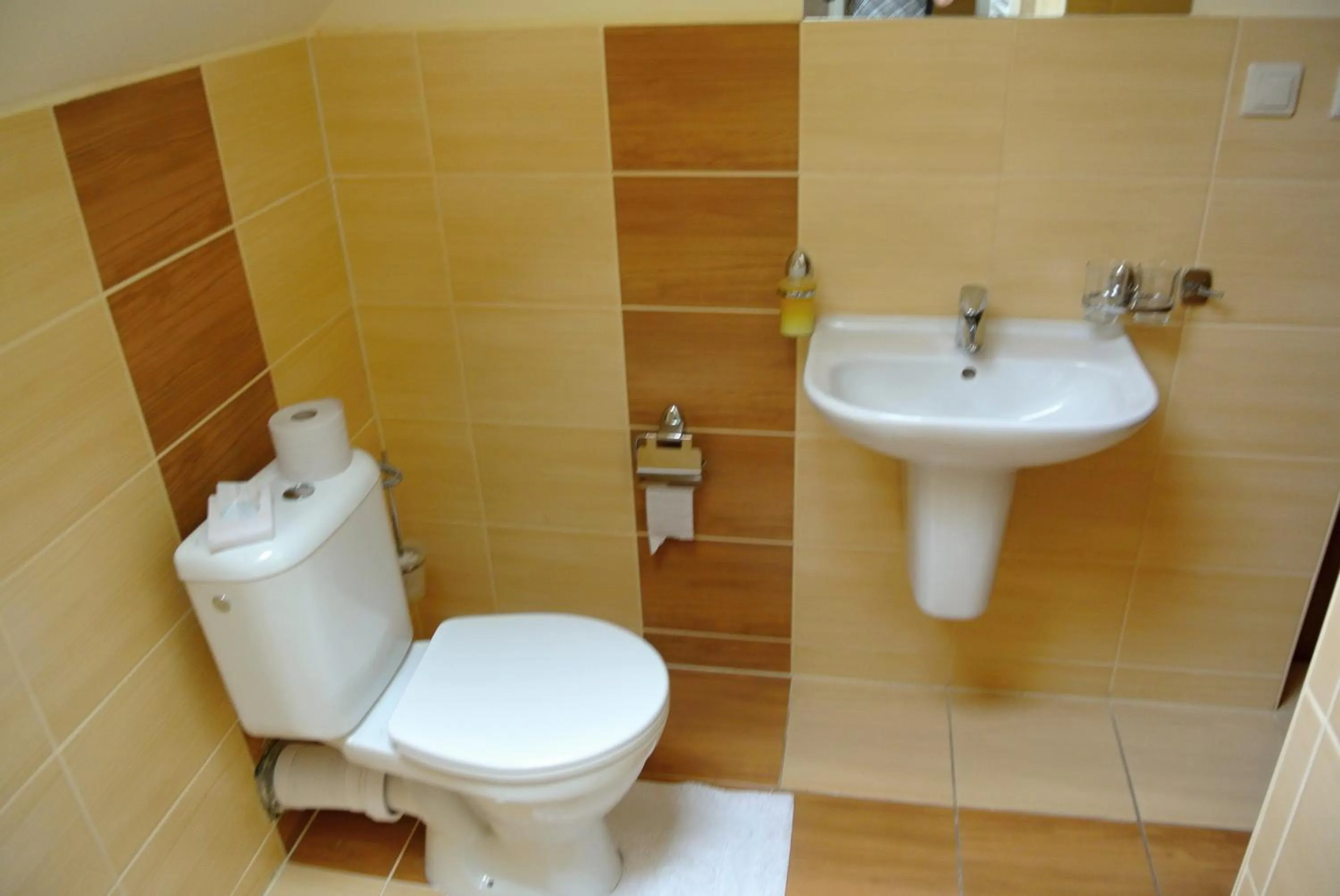 Bathroom in Penzión Pri Mlyne