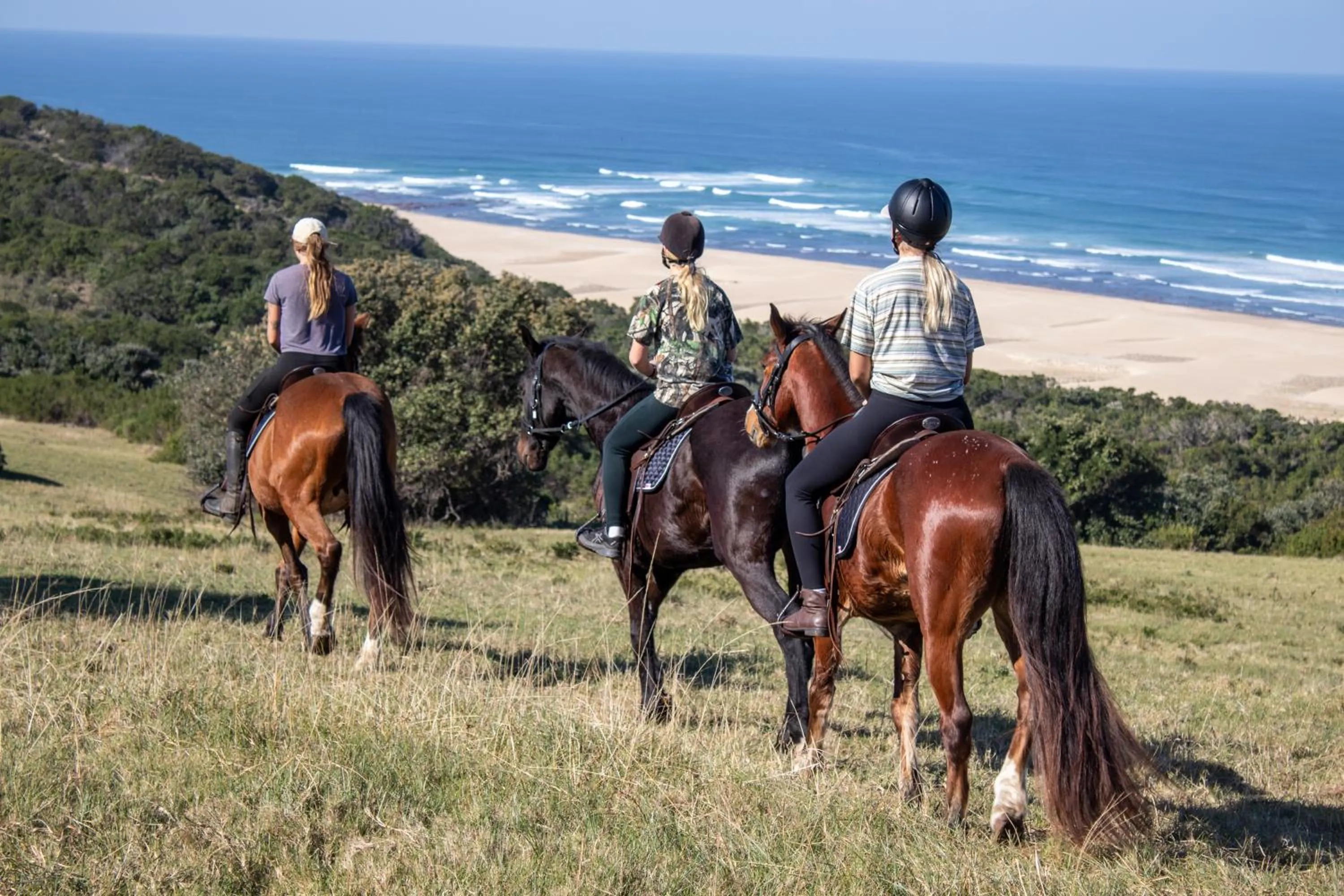 Horse-riding in Oceana Beach and Wildlife Reserve