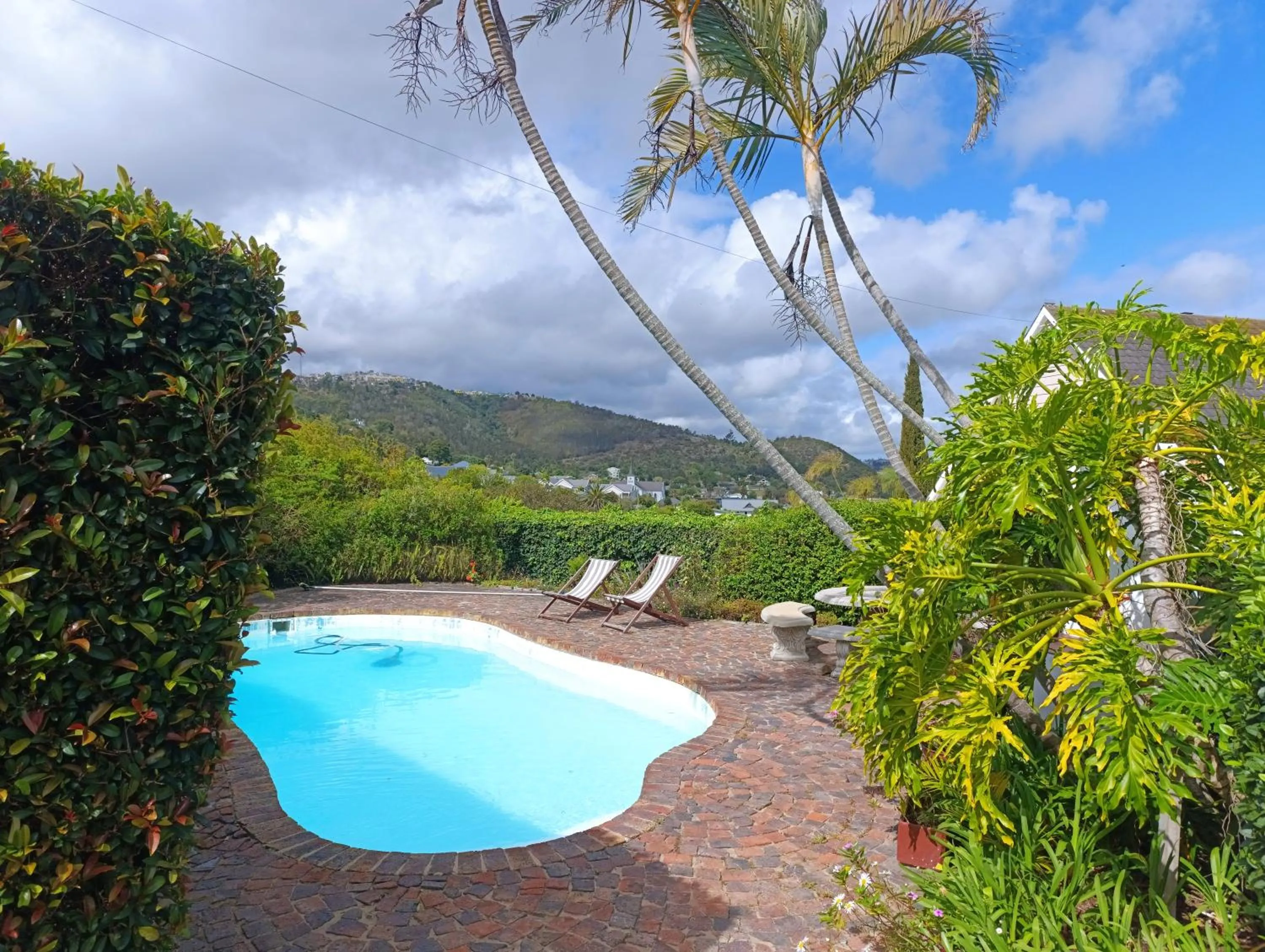 Garden view in Guinea Fowl Lodge - Lagoon & Heads View B&B, Central Knysna