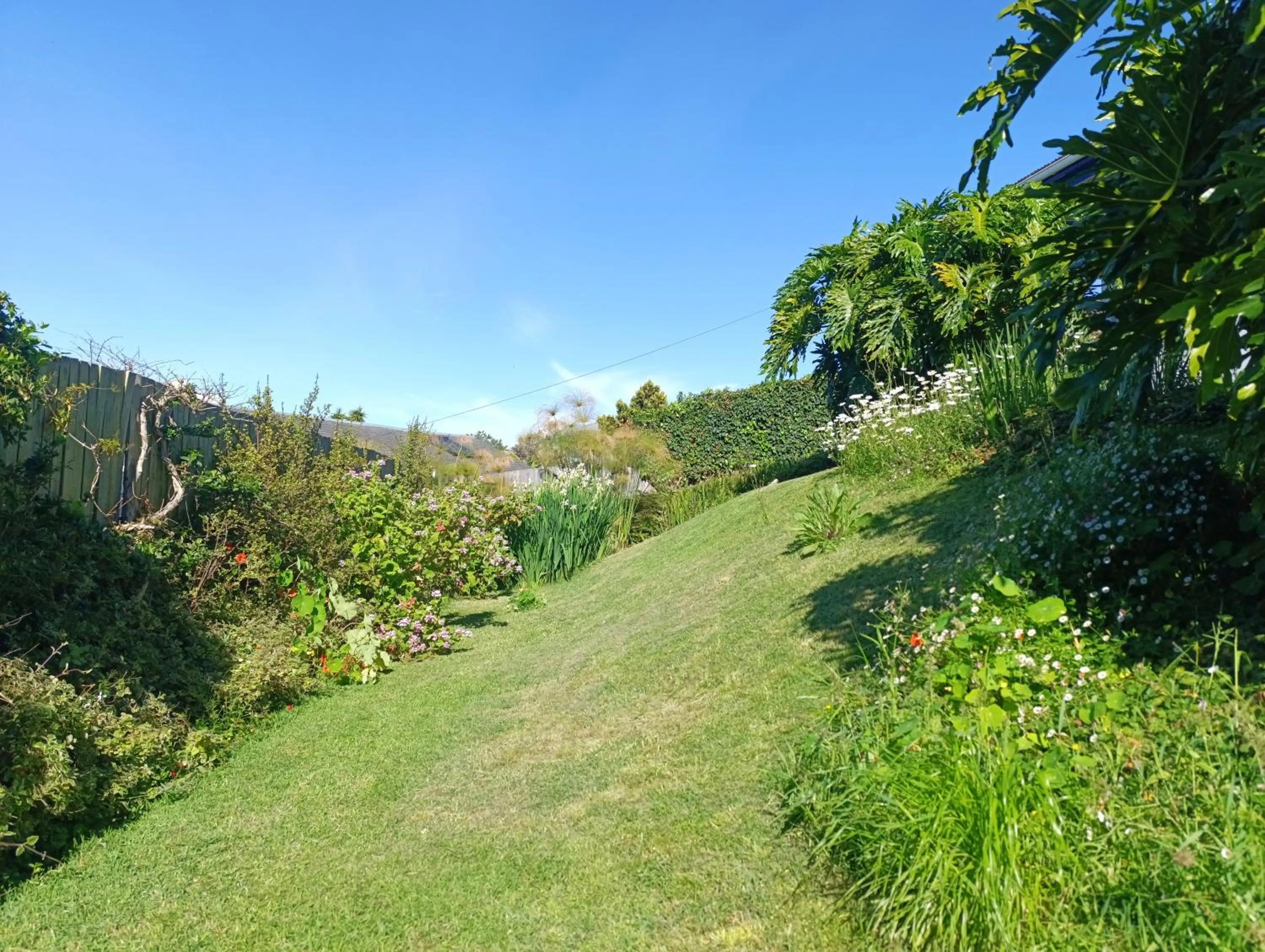 Garden in Guinea Fowl Lodge - Lagoon & Heads View B&B, Central Knysna