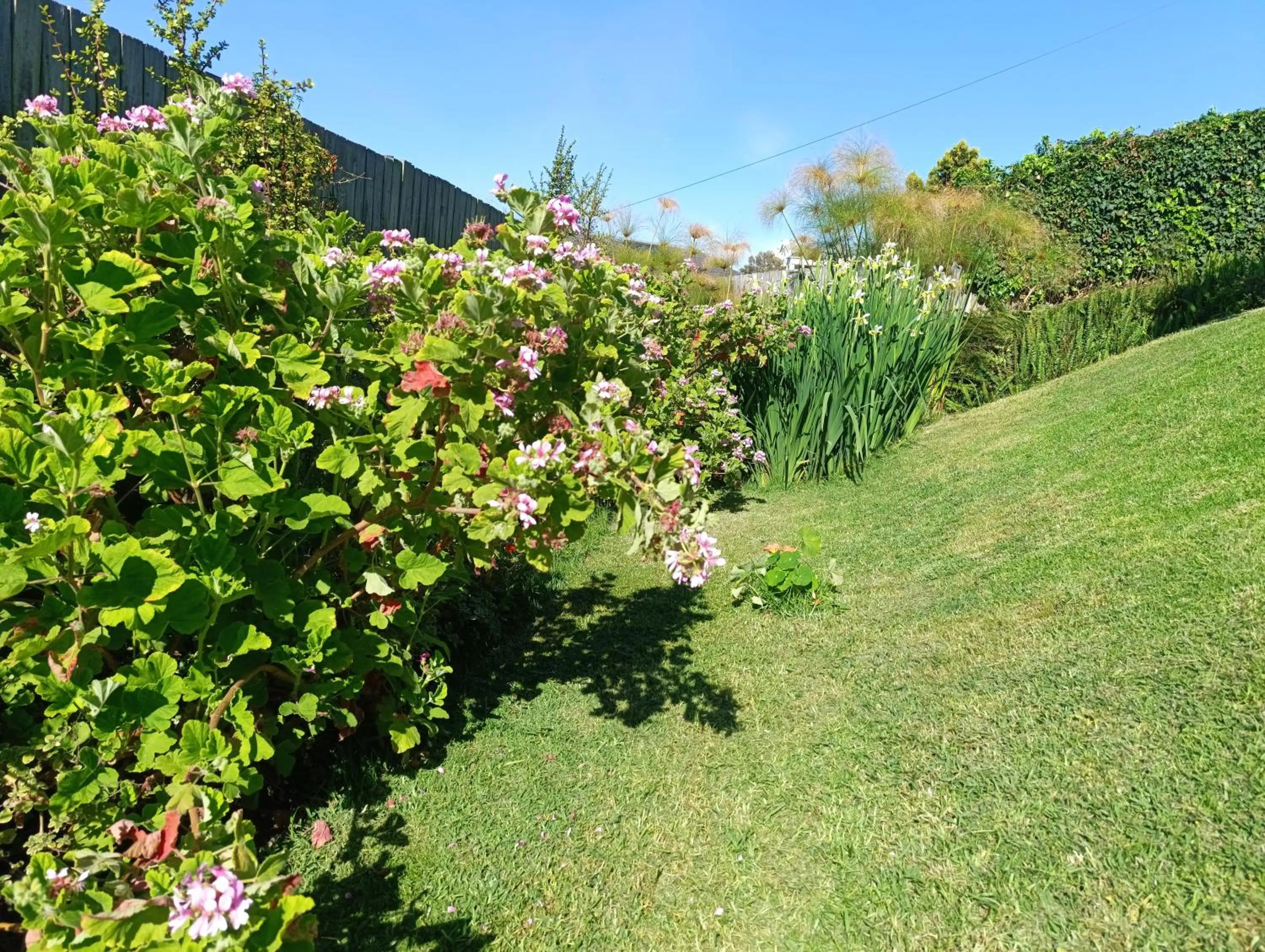 Garden in Guinea Fowl Lodge - Lagoon & Heads View B&B, Central Knysna