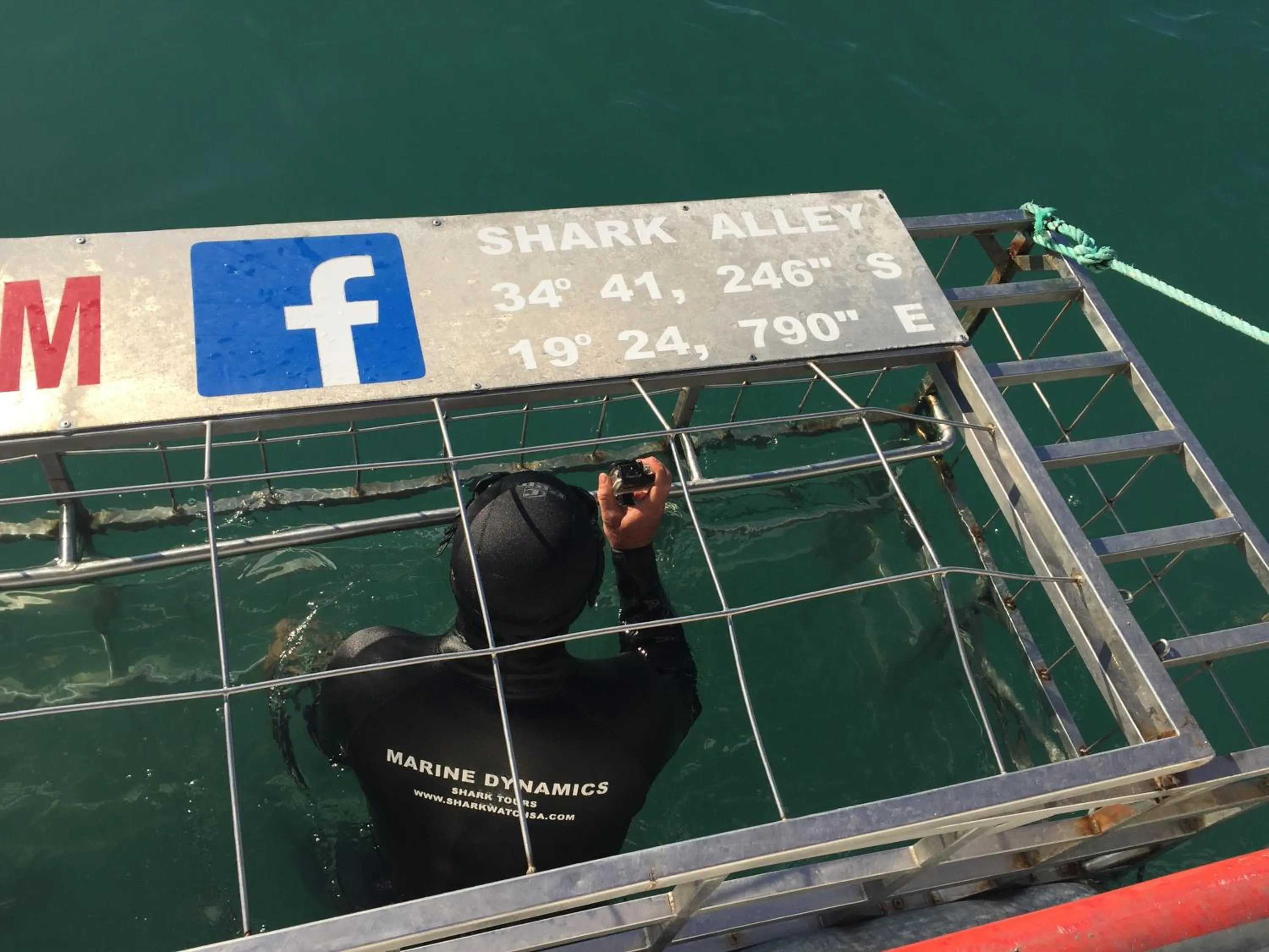 Diving in Sixteen Guesthouse on Main