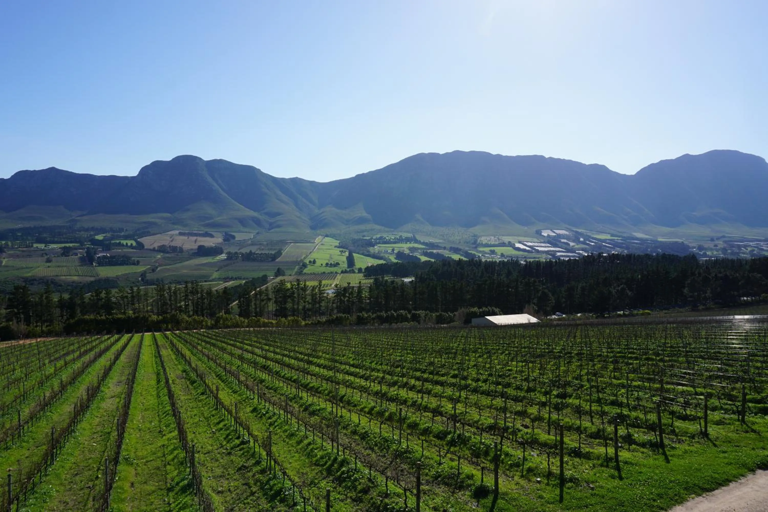 Area and facilities in Sixteen Guesthouse on Main