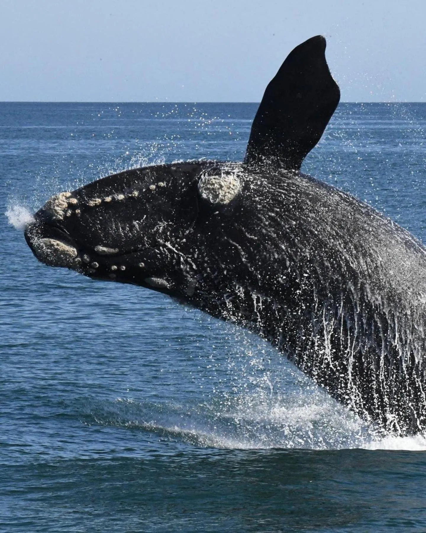 Natural landscape in Sixteen Guesthouse on Main
