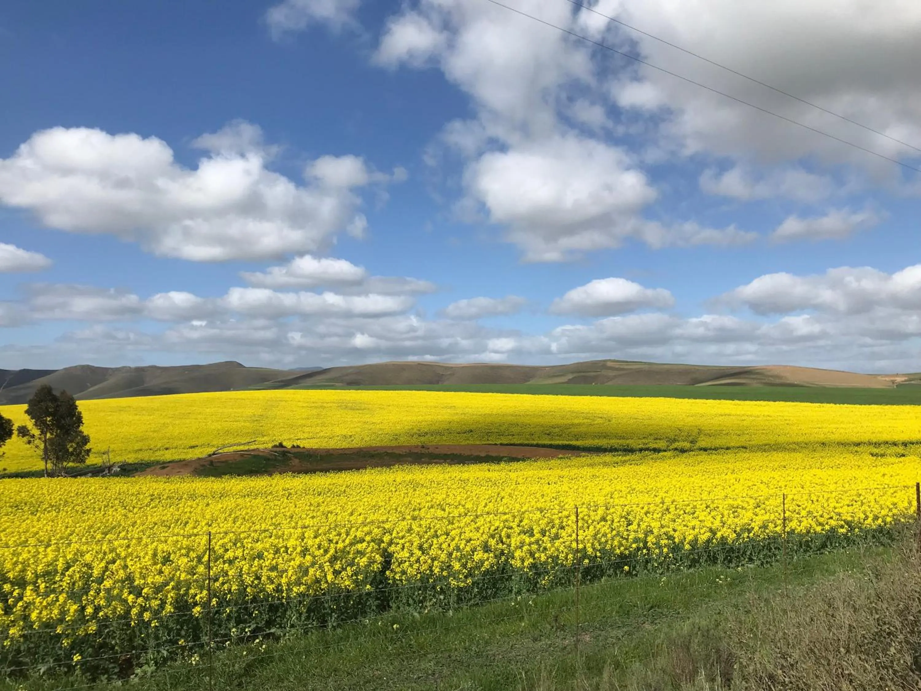 Natural landscape in Sixteen Guesthouse on Main