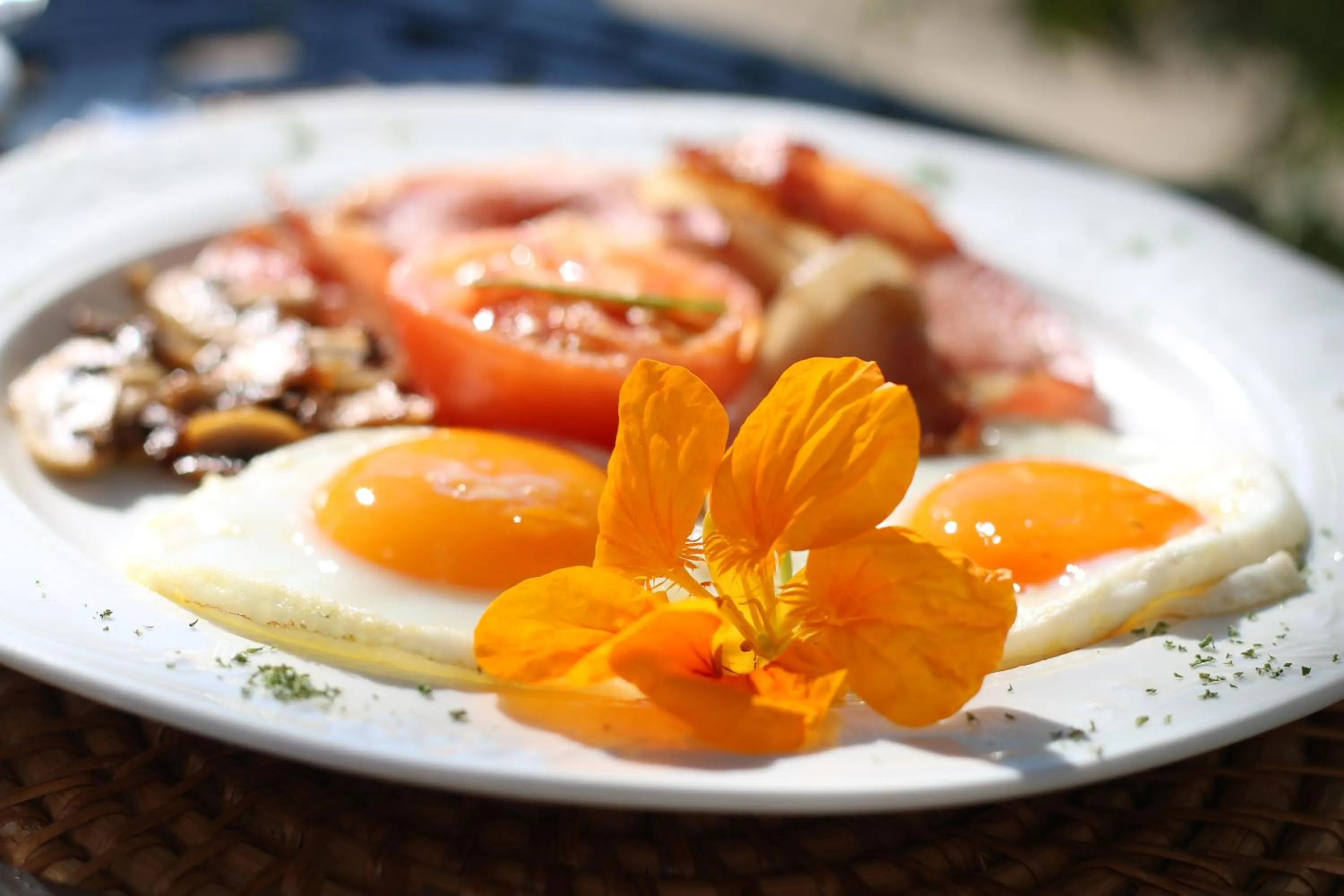 Food in Albourne Guesthouse