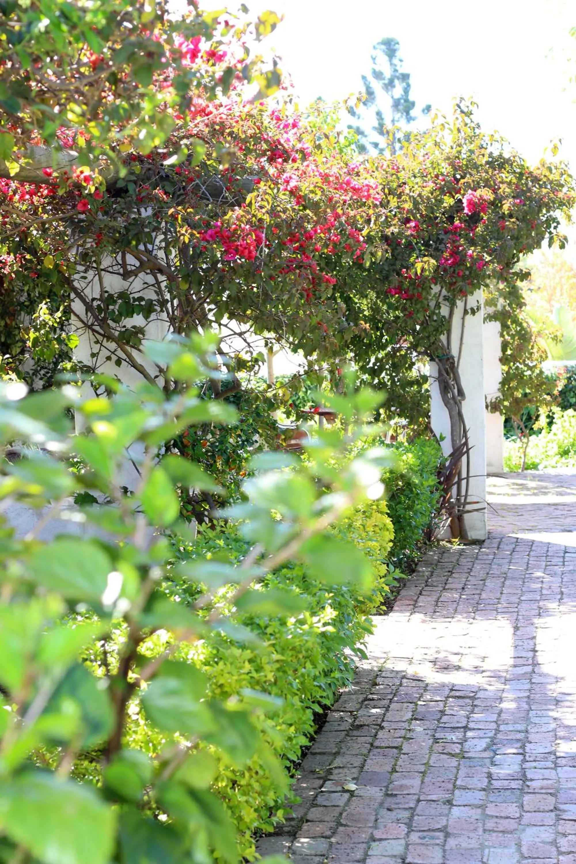 Balcony/Terrace in Albourne Guesthouse