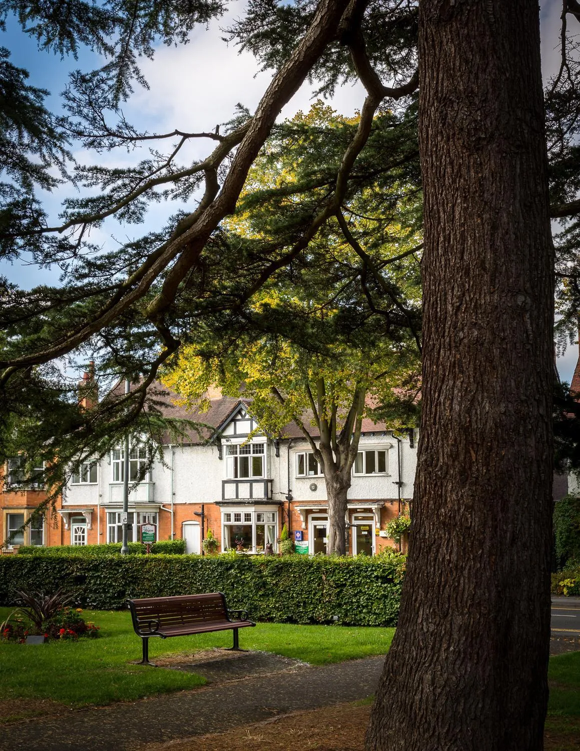 Natural landscape in Ashgrove House