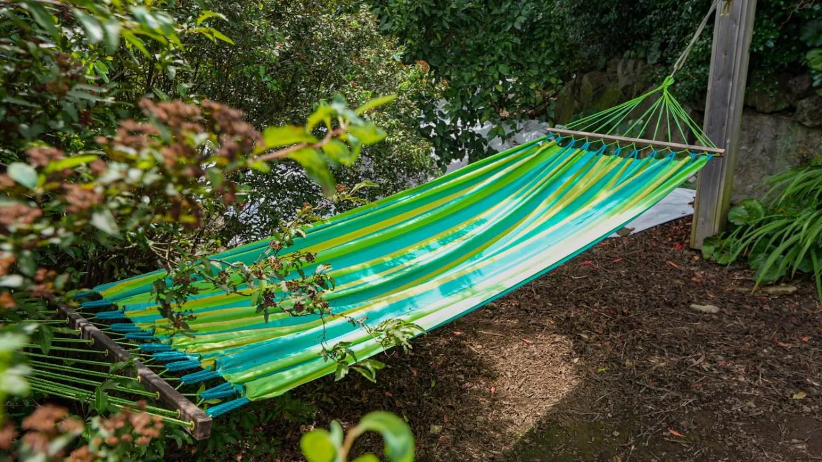 Garden view in Jeju Eco Suites