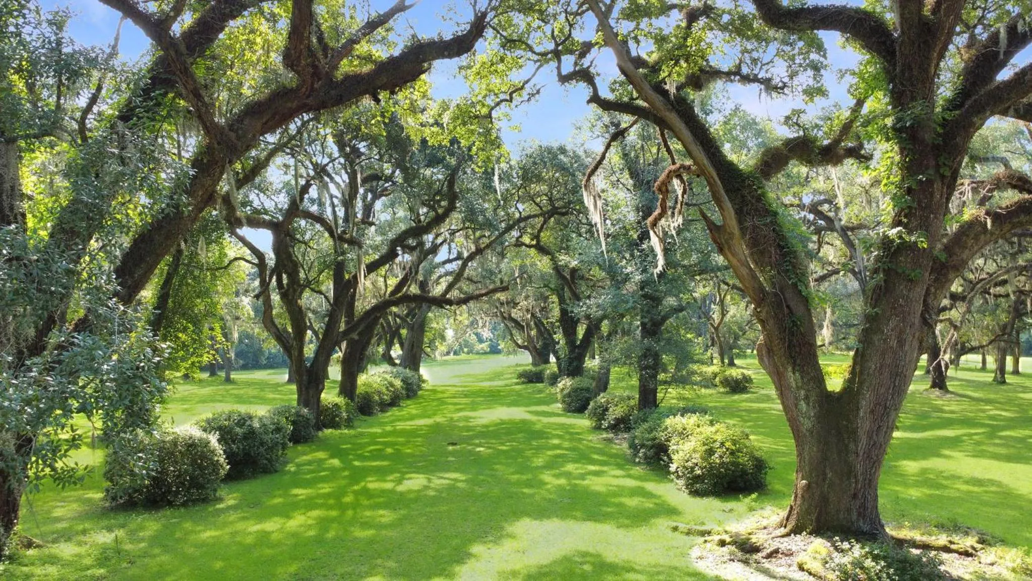 Natural landscape in Greenwood Plantation B&B Inn