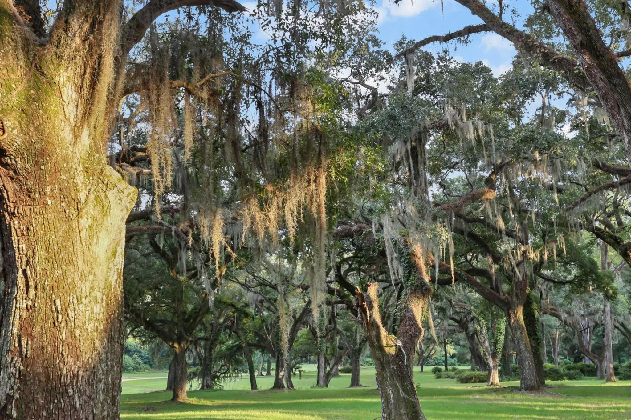 Greenwood Plantation B&B Inn