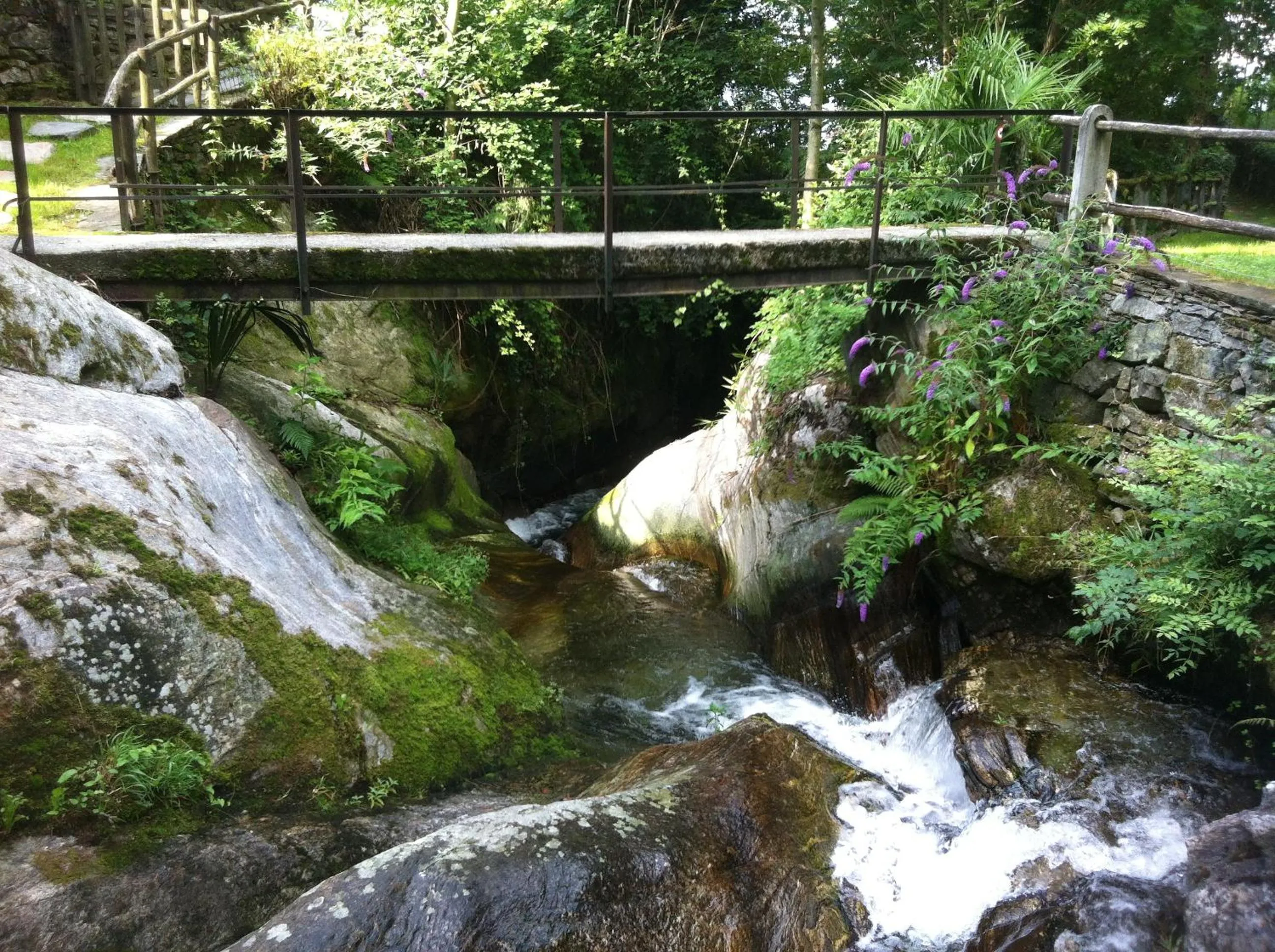 Natural landscape in Tenuta Casa Cima - tenutacasacima com -
