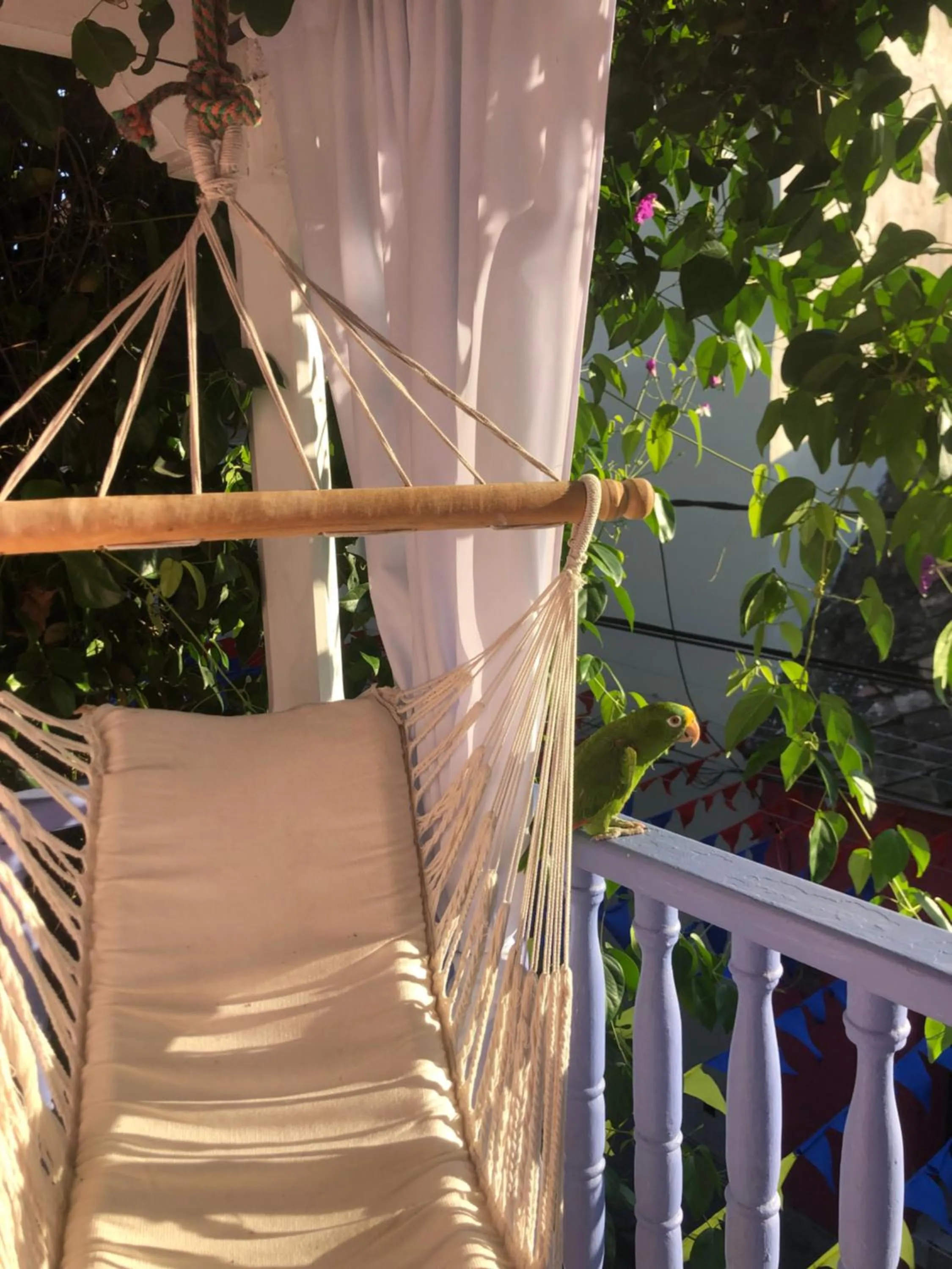 Balcony/Terrace in Balcones de Venecia