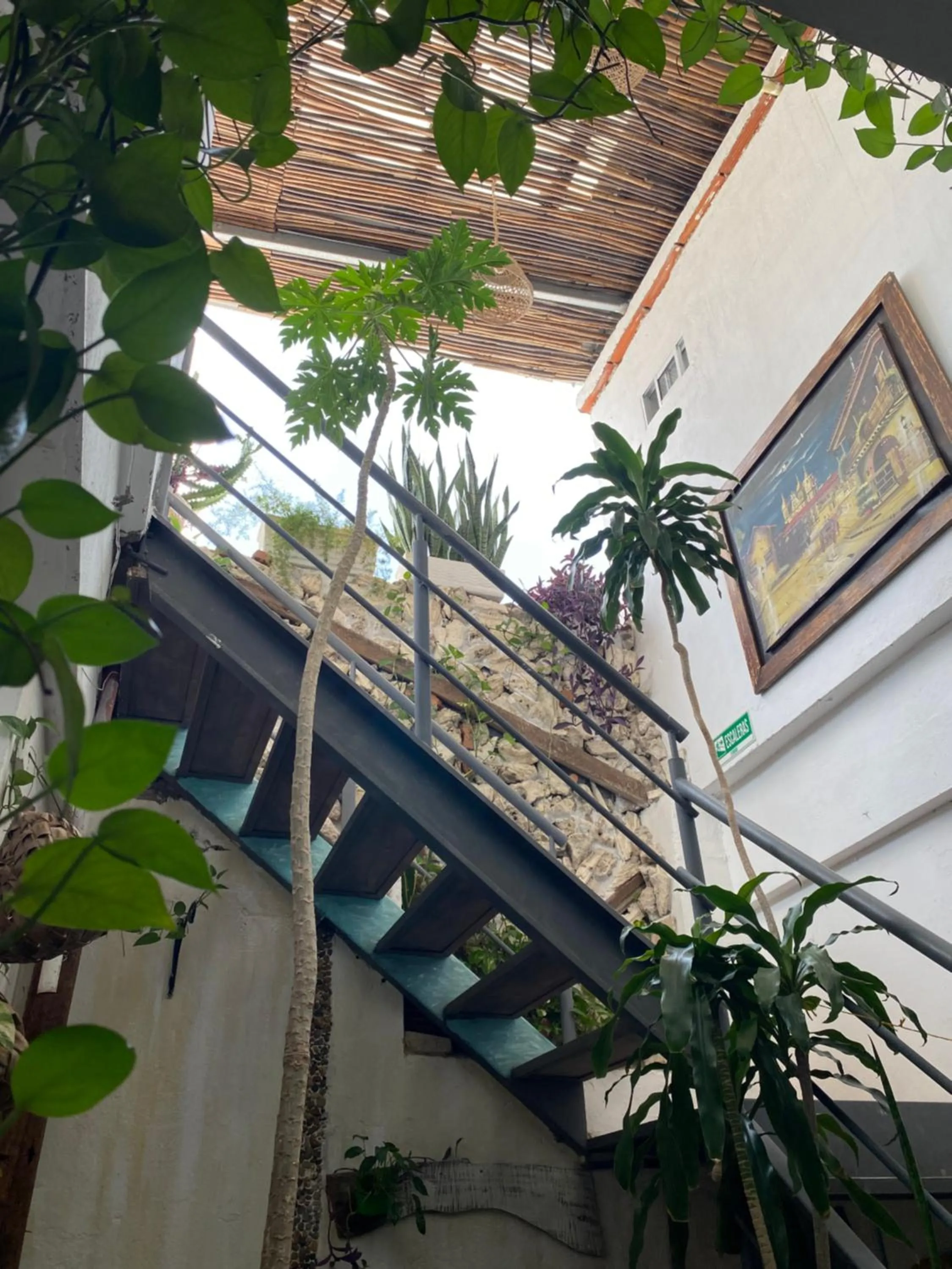 acessibility in Balcones de Venecia