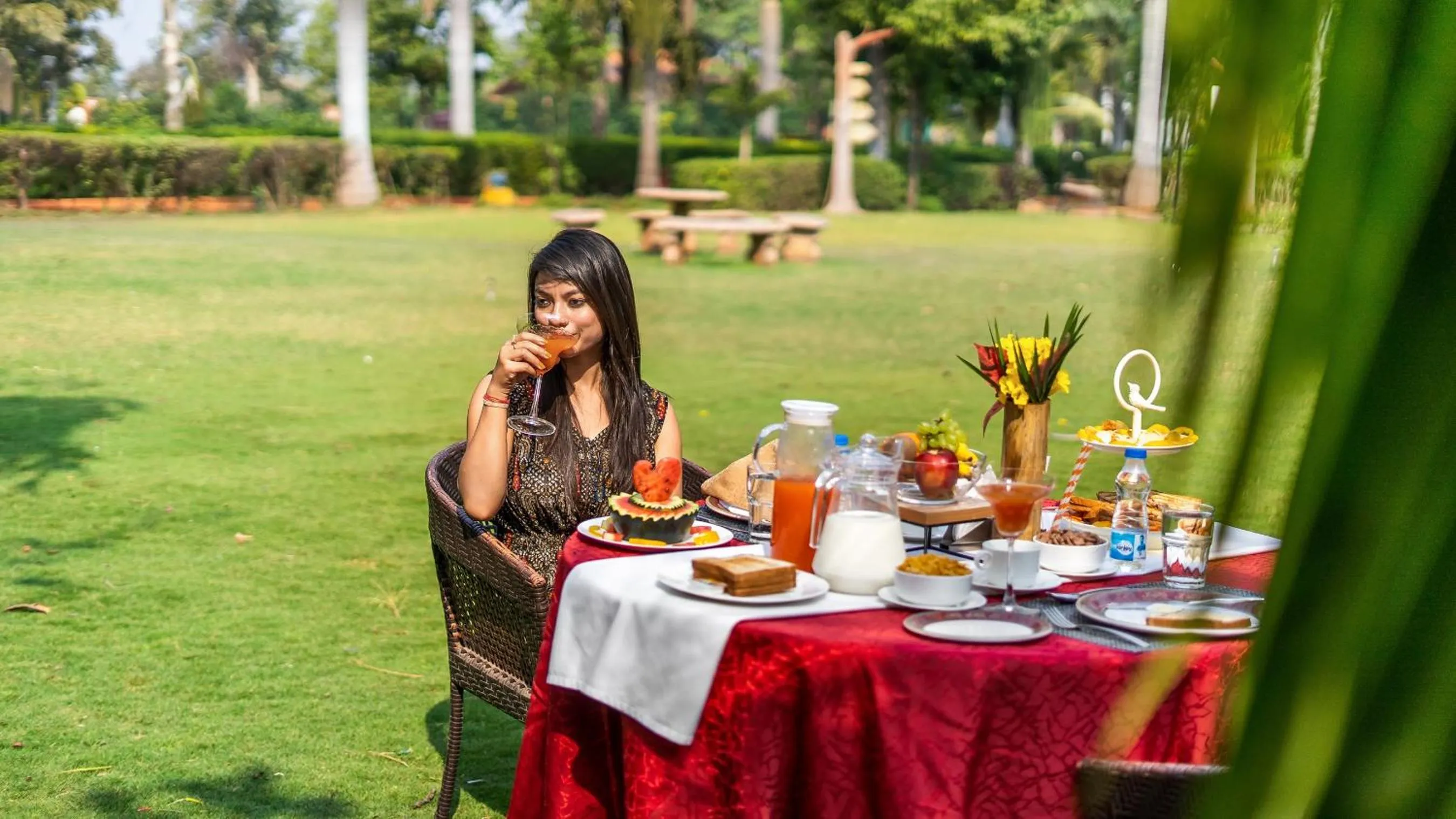 Garden in Vijayshree Resort, Hampi