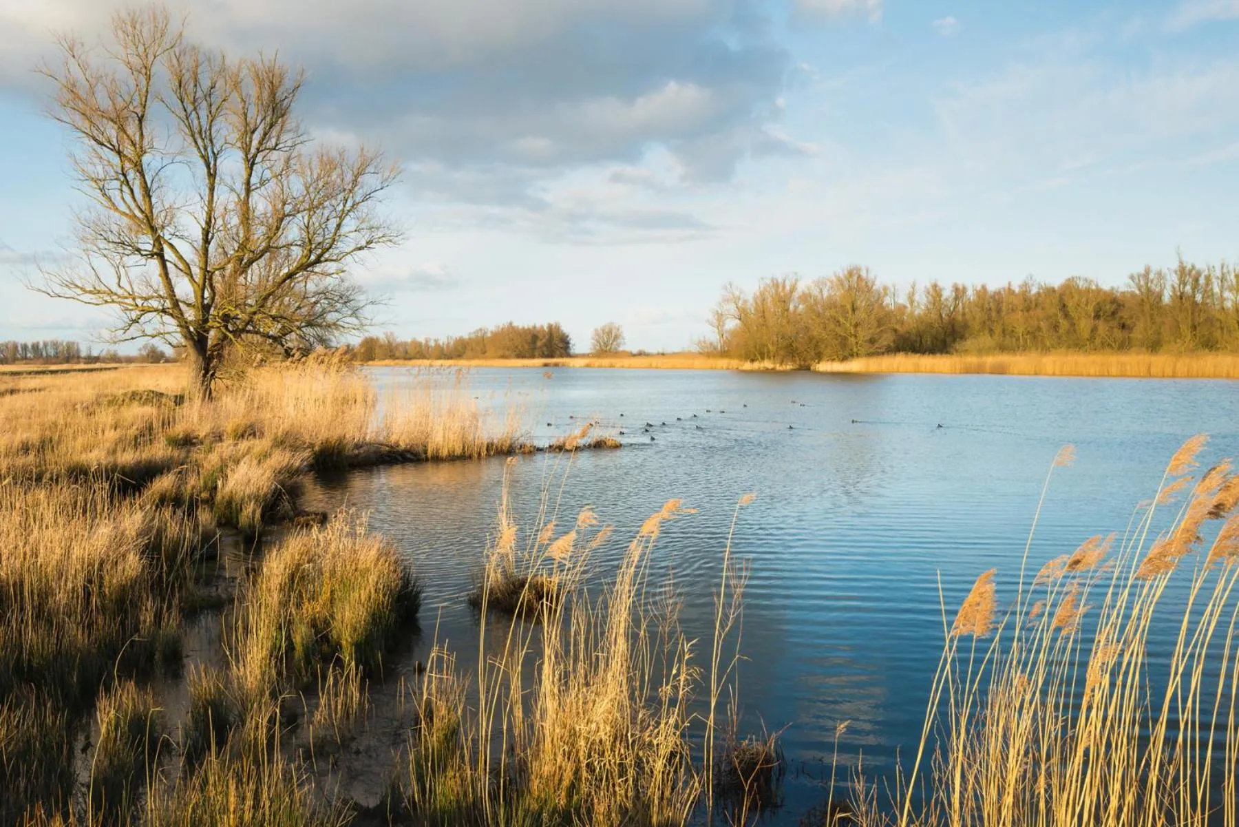Natural landscape in Hotel 46