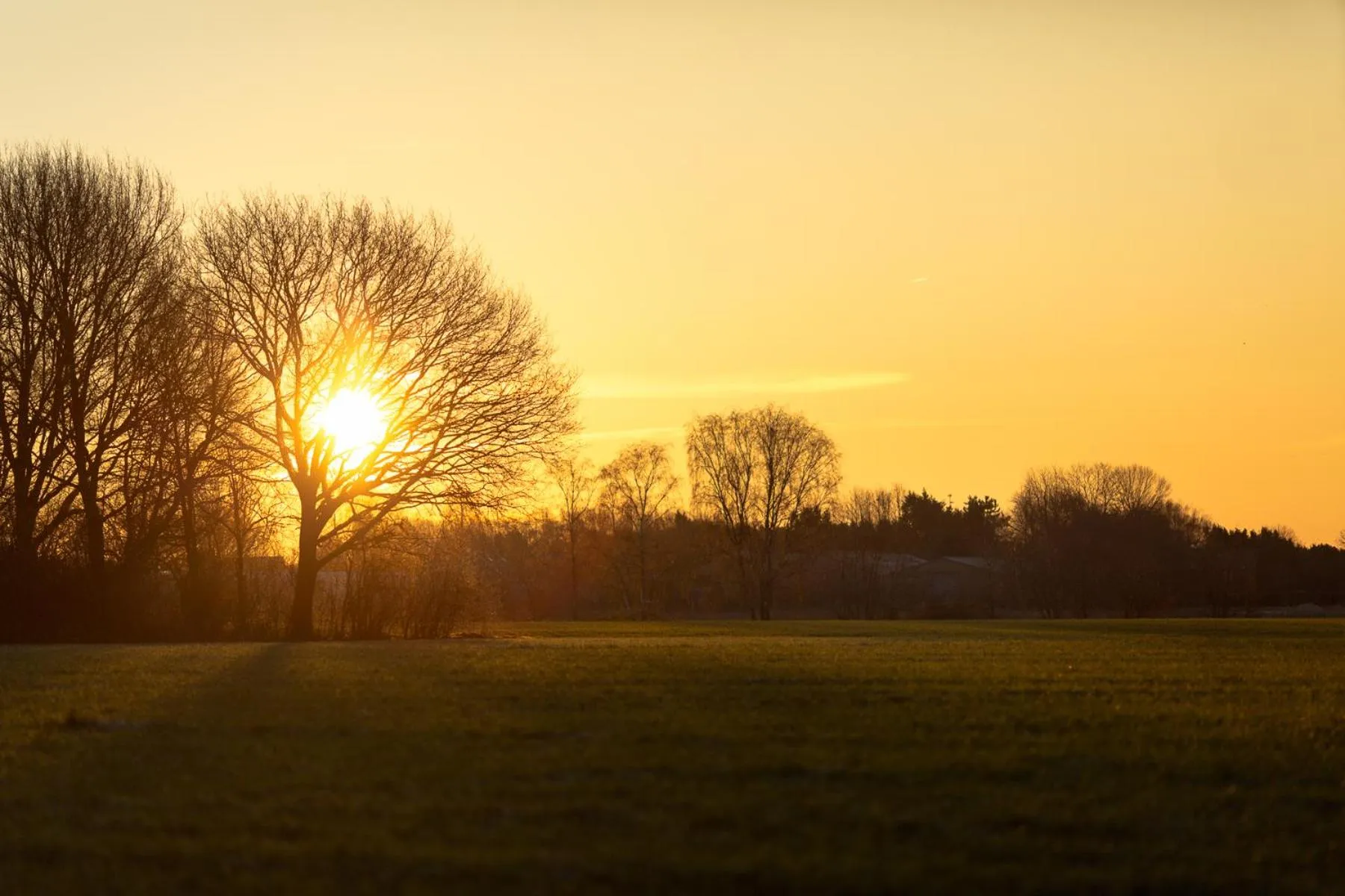 Natural landscape in Hotel 46
