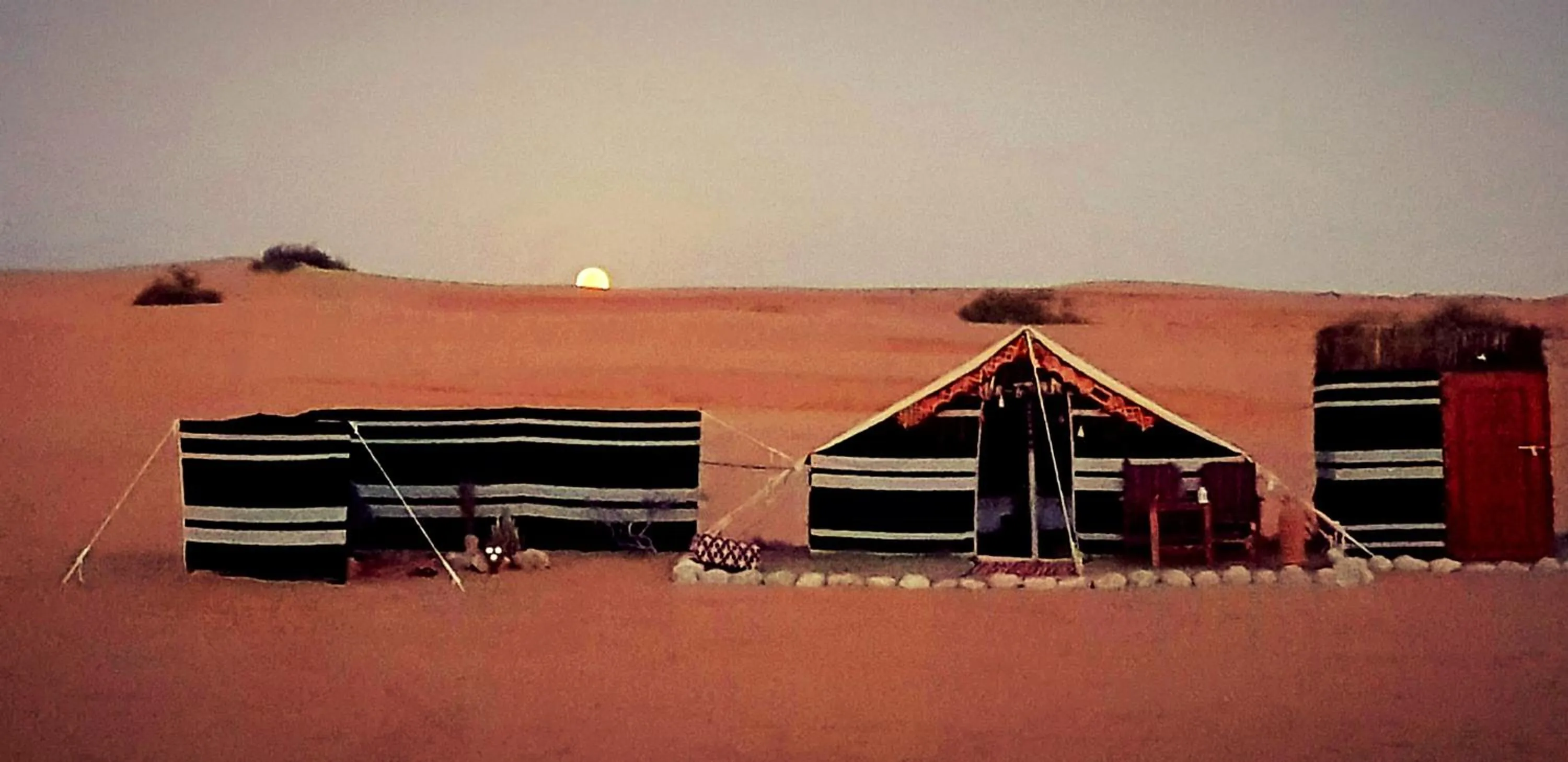 Area and facilities in Queen Desert camp